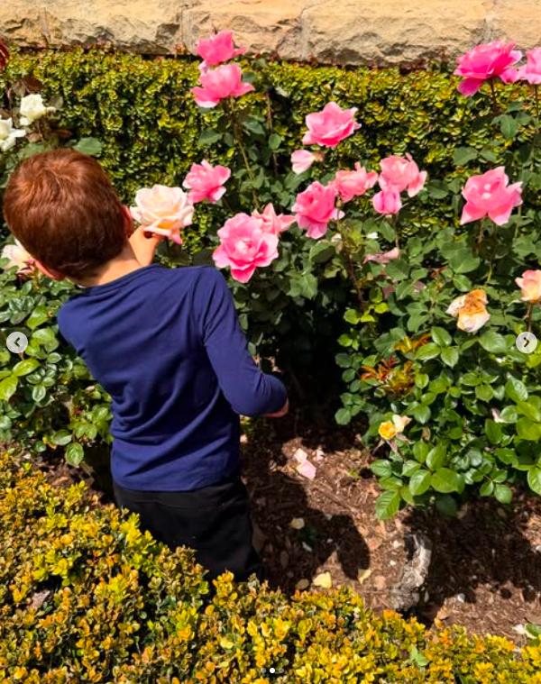 Prince Archie beim Betrachten von Rosen, gepostet am 28. April 2025. | Quelle: Instagram/meghan