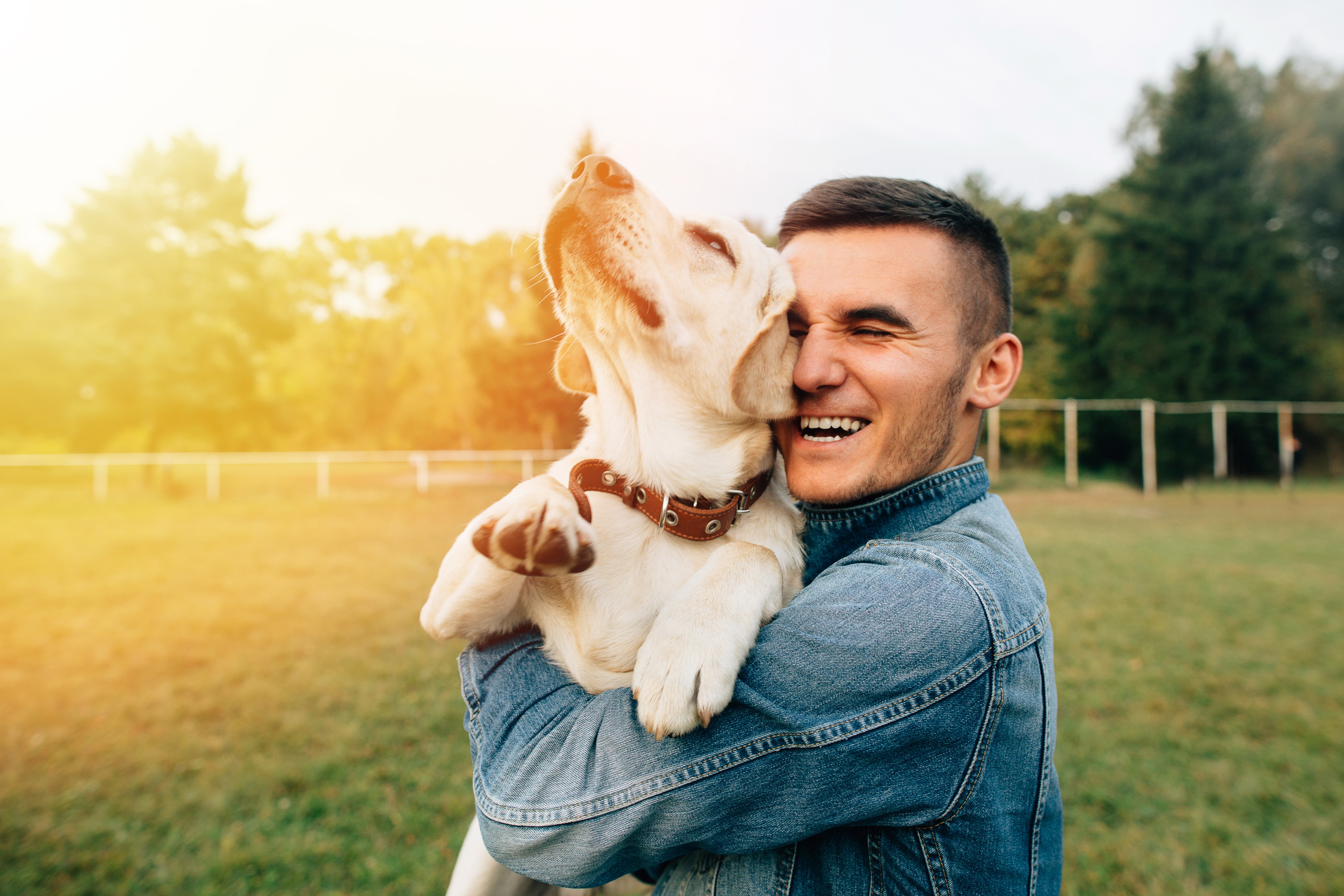 Glücklicher junger Mann, der Hund Labrador in den Händen hält | Quelle: Shutterstock