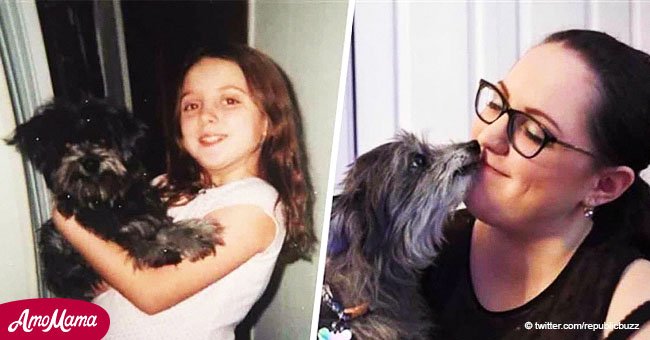 Eine Frau adoptierte einen süßen alten Hund und fand heraus, dass es ihr Hund aus Kindheit war