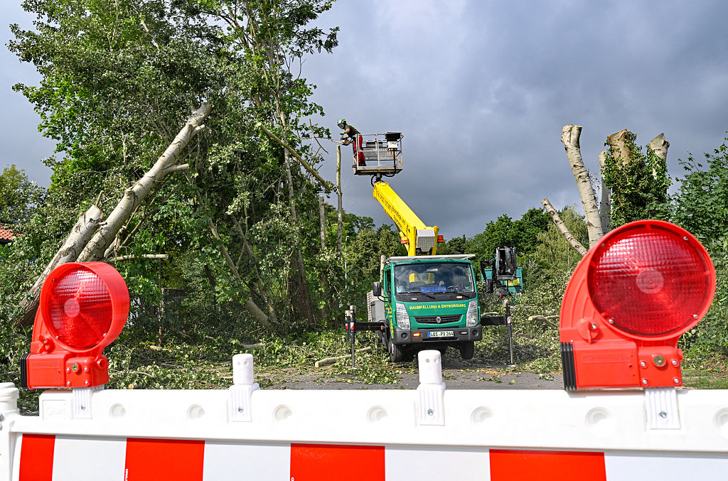 20. August 2026, Brandenburg, Fürstenwalde/Spree: Ein Arbeiter auf einer Hubarbeitsbühne repariert durch einen Tornado verursachte Schäden an Bäumen | Quelle: Getty Images
