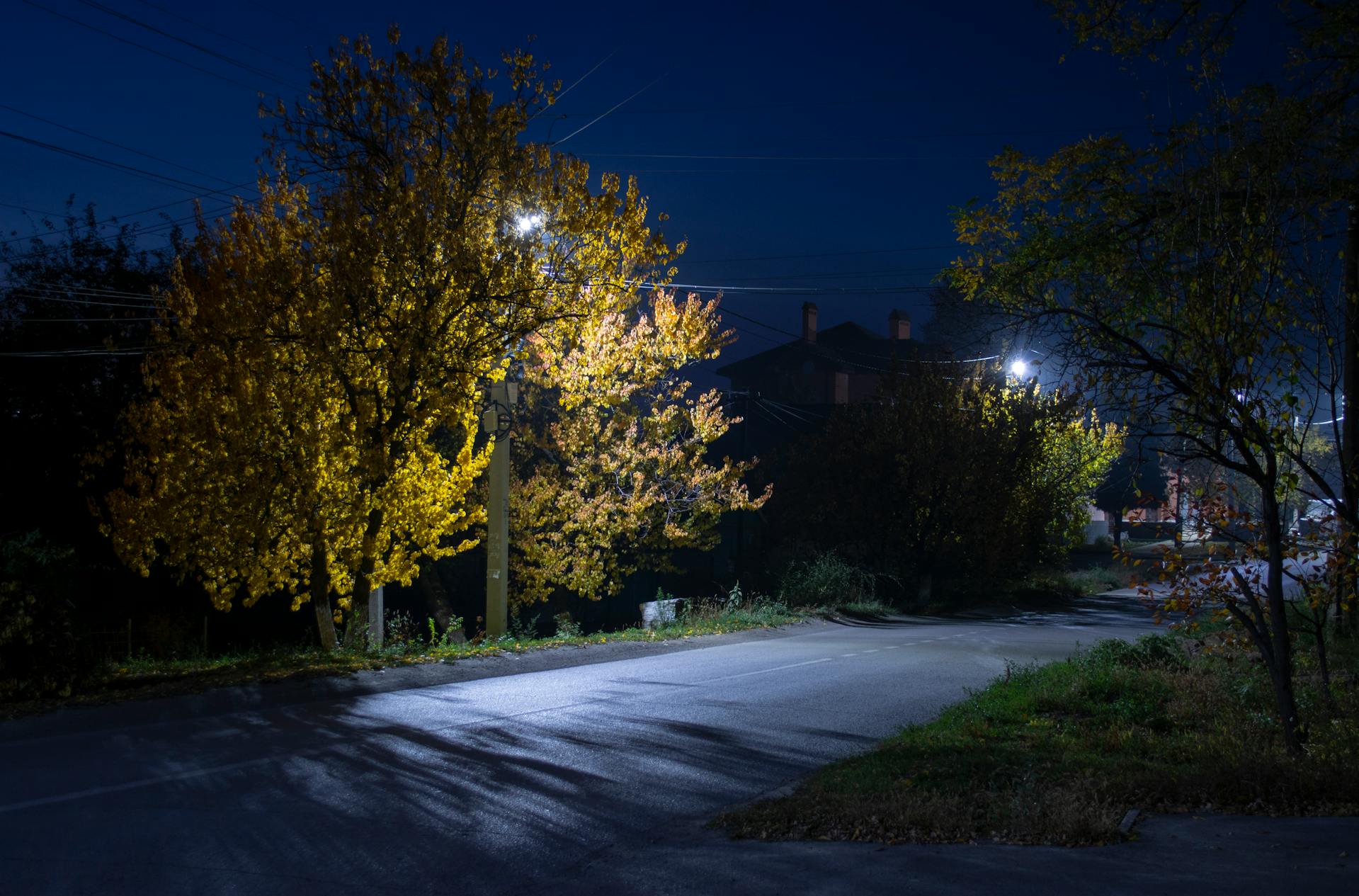 Ein Stadtviertel bei Nacht | Quelle: Pexels