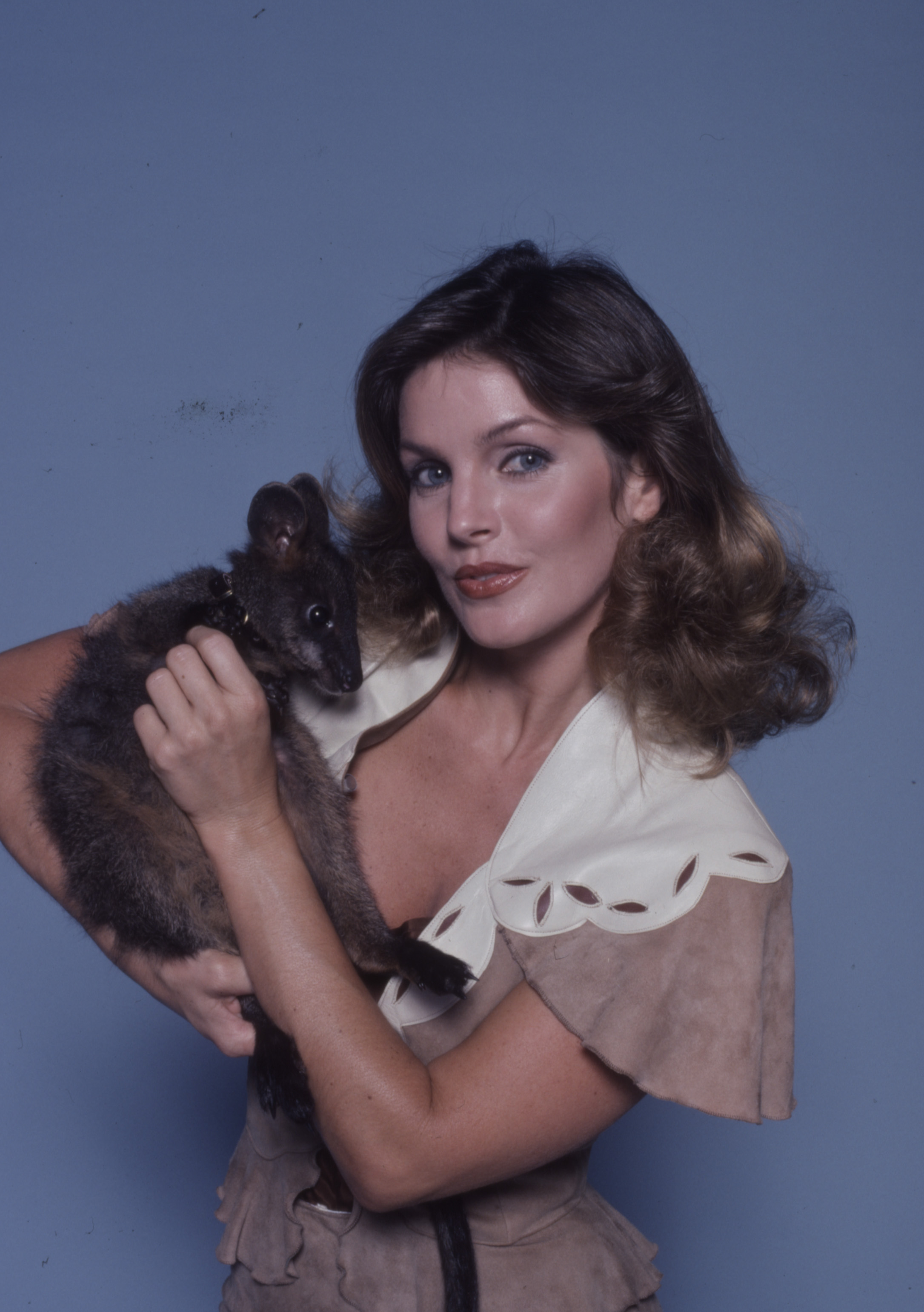 Priscilla Presley auf einem Werbefoto für die ABC-Fernsehserie "Those Amazing Animals" in Los Angeles, Kalifornien, im Jahr 1980. | Quelle: Getty Images