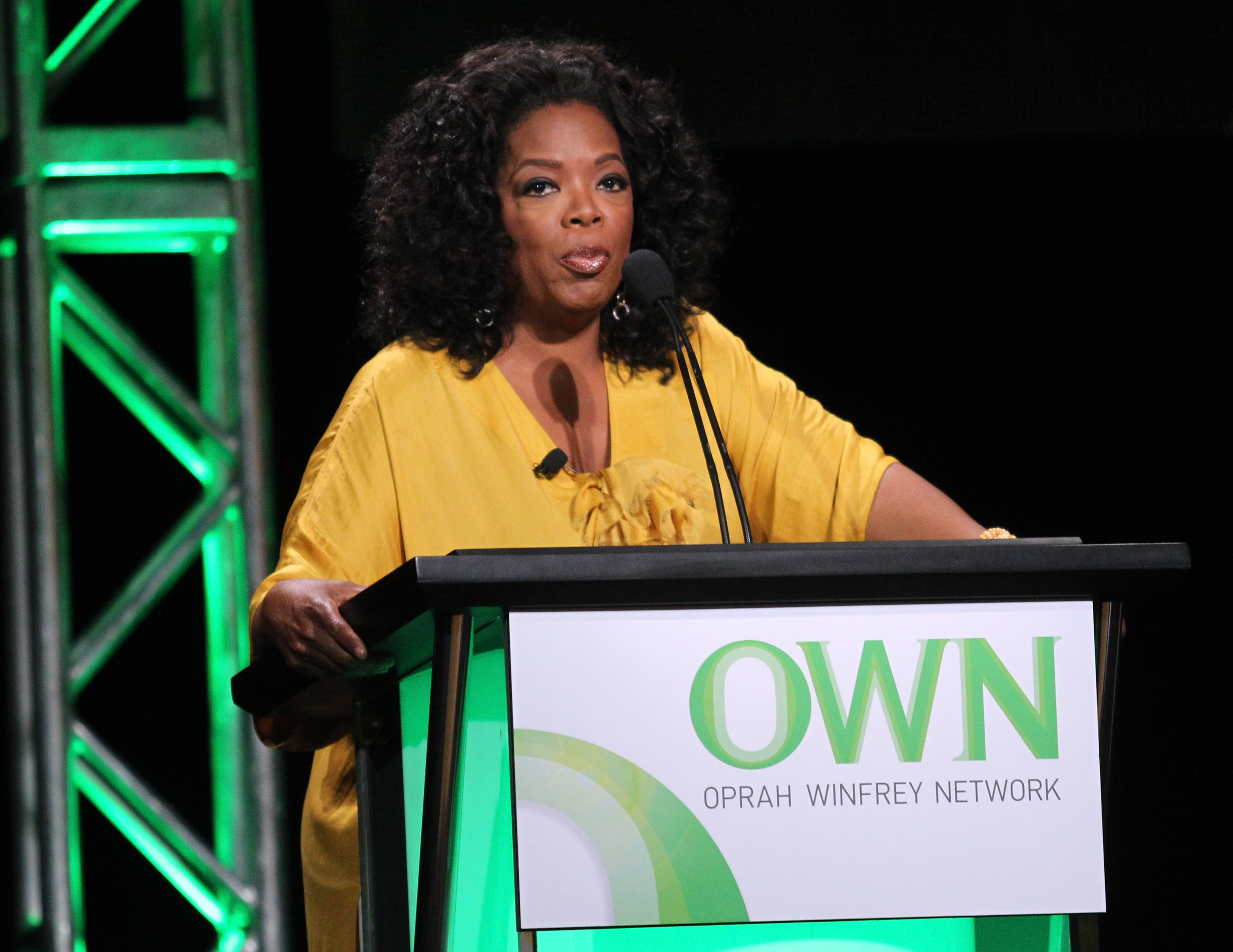 TV-Moderatorin Oprah Winfrey spricht während des "The Rosie Show"-Panels im Rahmen des OWN-Teils der 2011 Summer TCA Tour im Beverly Hilton Hotel am 29. Juli 2011 in Beverly Hills, Kalifornien | Quelle: Getty Images