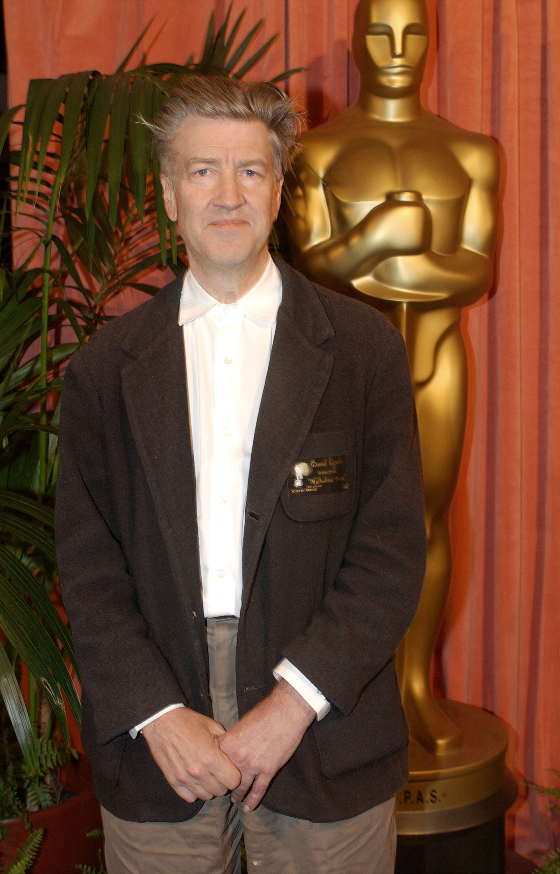 David Lynch bei der 74th Annual Academy Awards Nominees Luncheon am 11. März 2002 | Quelle: Getty Images