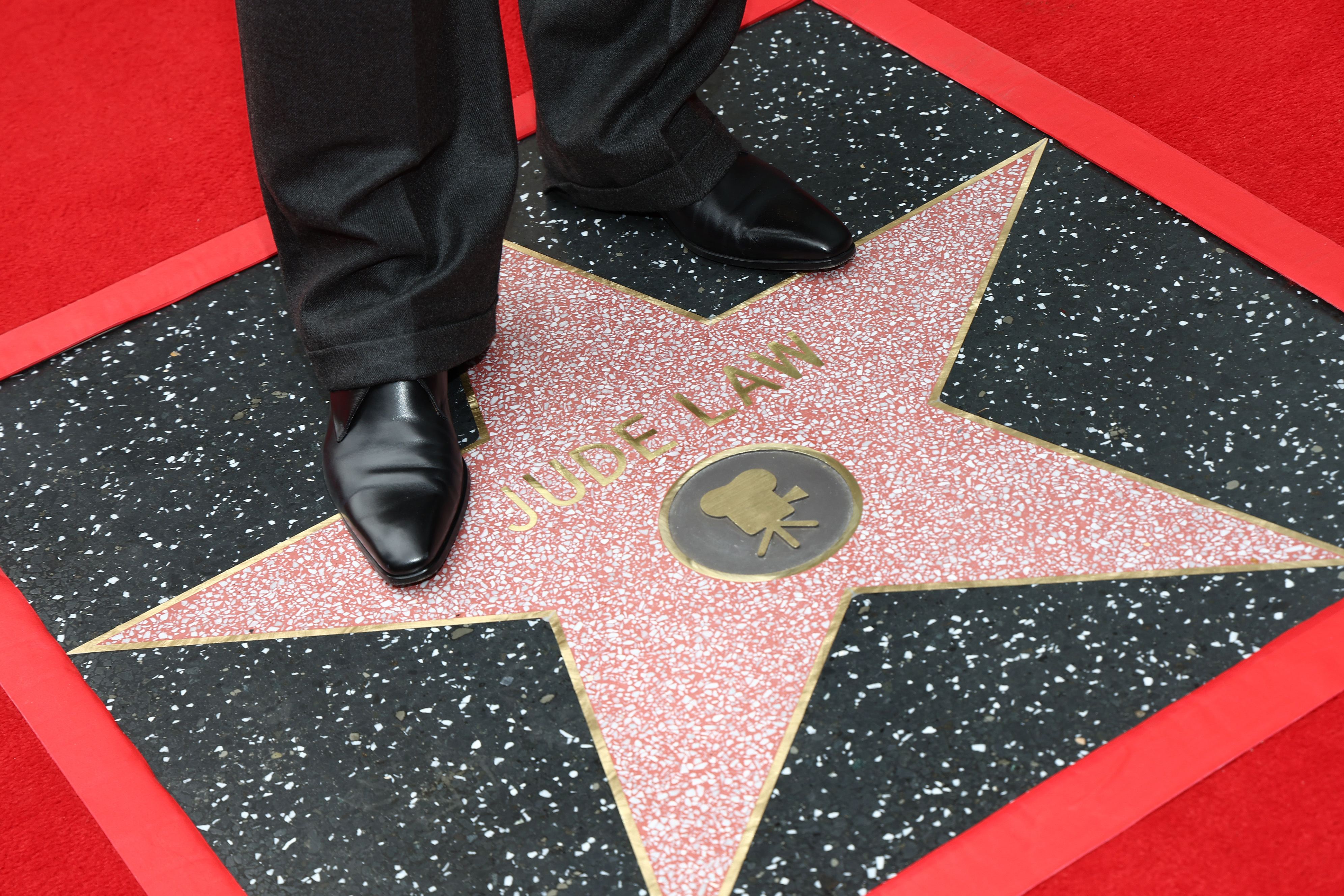 Jude Law, Sternendetail, bei der Verleihung seines Hollywood Walk of Fame Sterns am 12. Dezember 2024 | Quelle: Getty Images