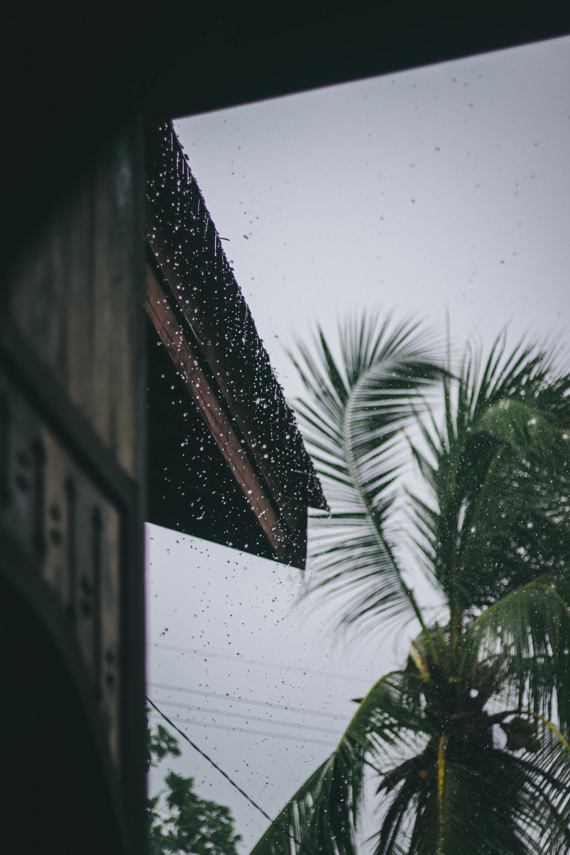 Regen fällt vor einem Haus | Quelle: Pexels
