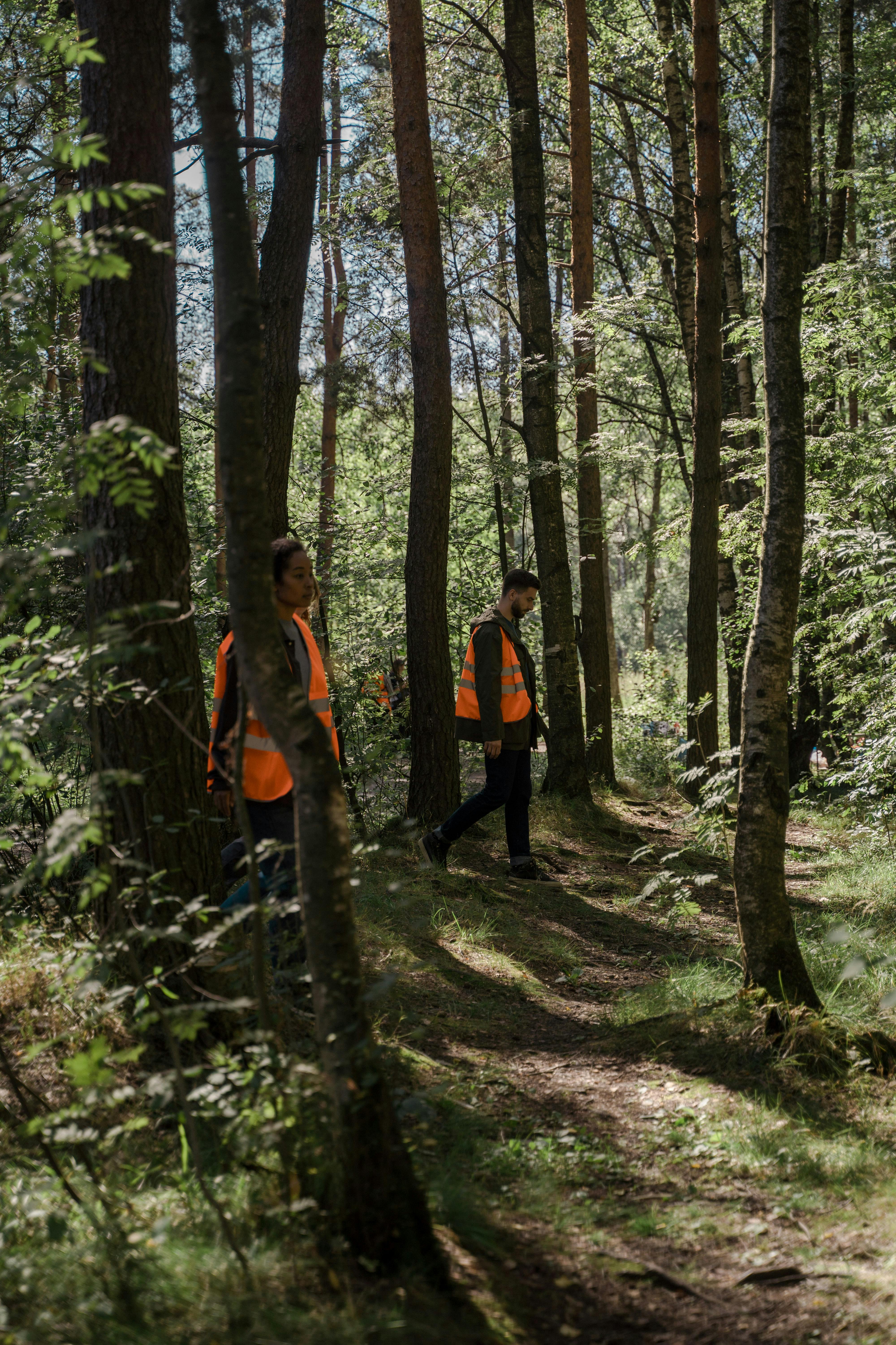 Ein Suchtrupp auf dem Weg durch den Wald | Quelle: Pexels