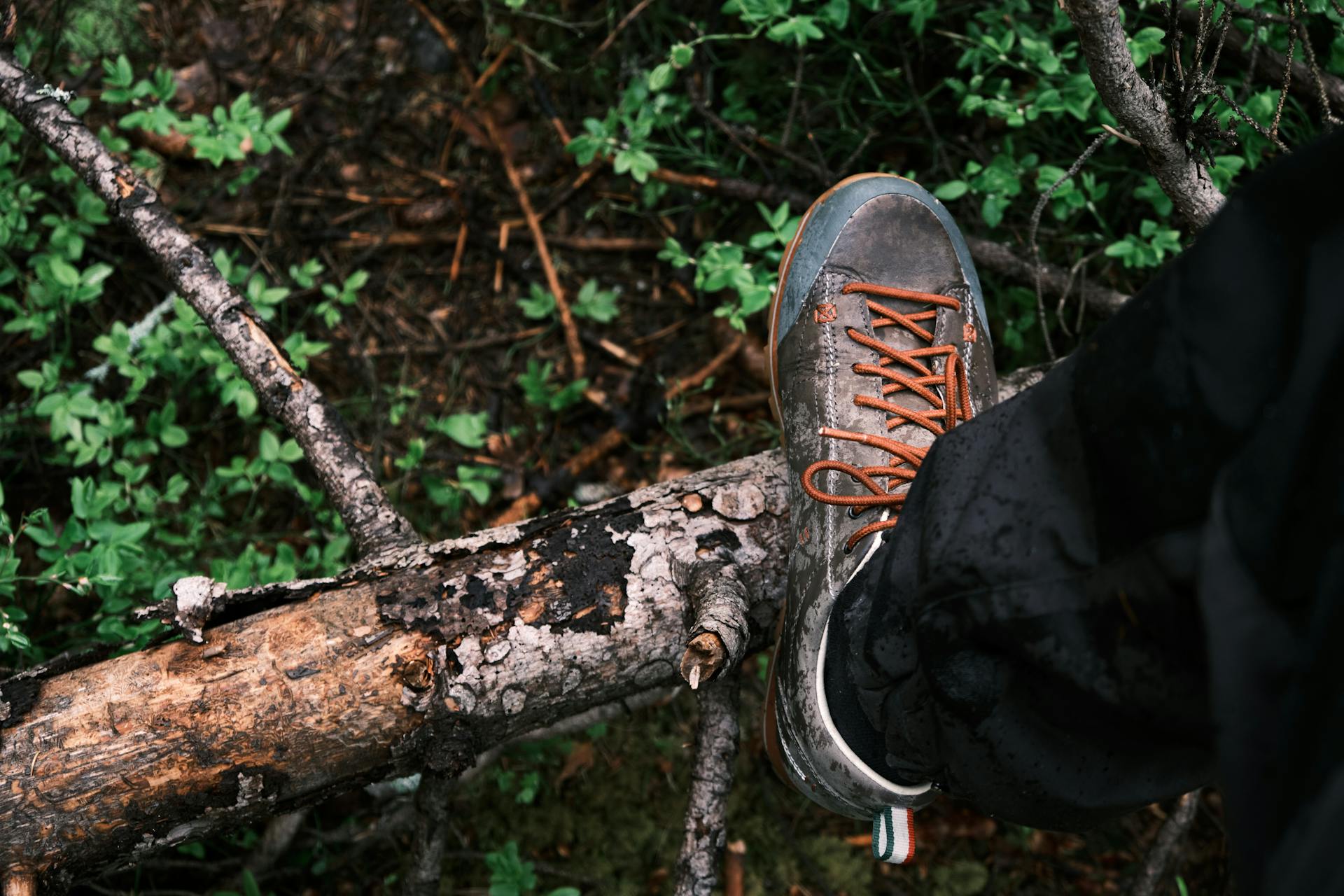 Nahaufnahme eines Männerschuhs in einem Wald | Quelle: Pexels