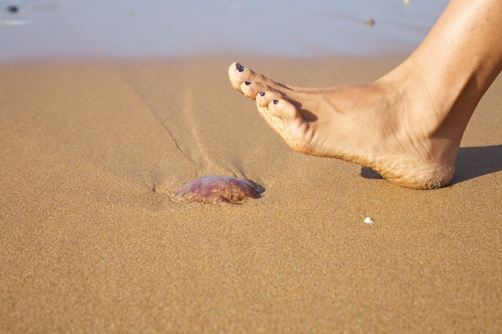 Frauenfuß ist bereit, eine Medusa in einem Strand zu schieben | Quelle: Shutterstock
