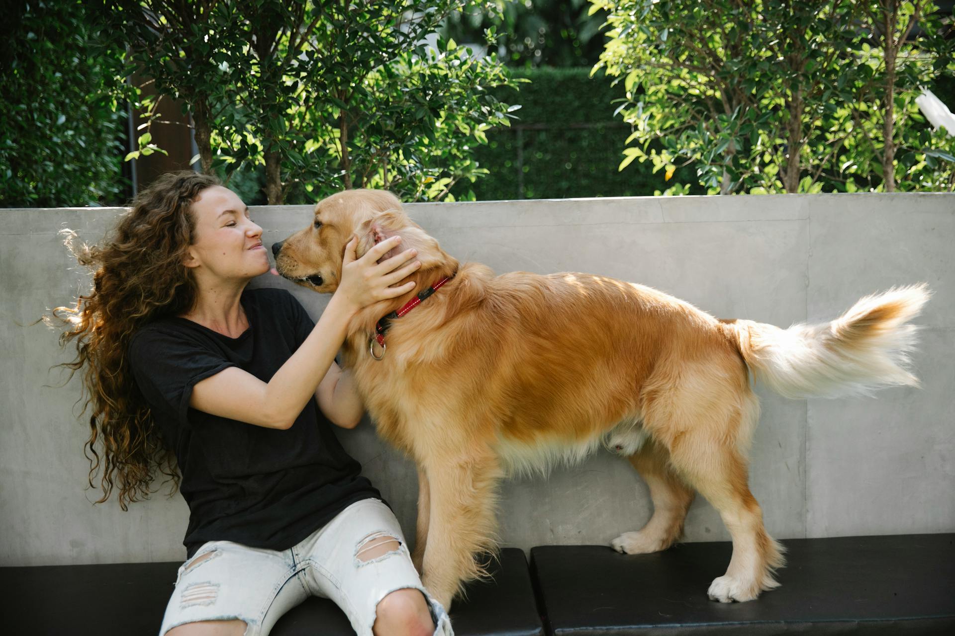 Eine Frau, die einen Golden Retriever verwöhnt | Quelle: Pexels