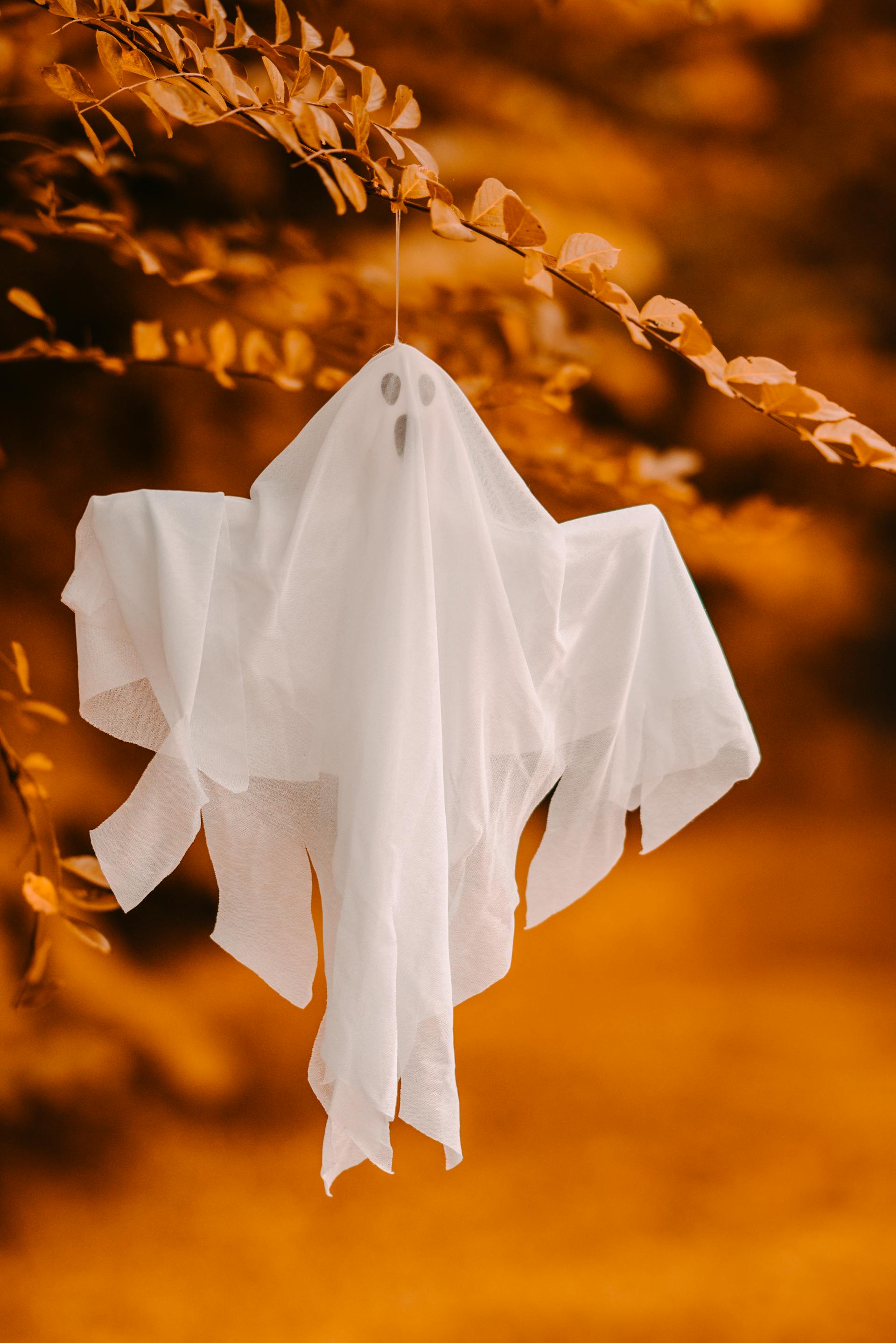 Dekoratives Halloween-Geisterornament an einem Ast aufgehängt | Quelle: Pexels