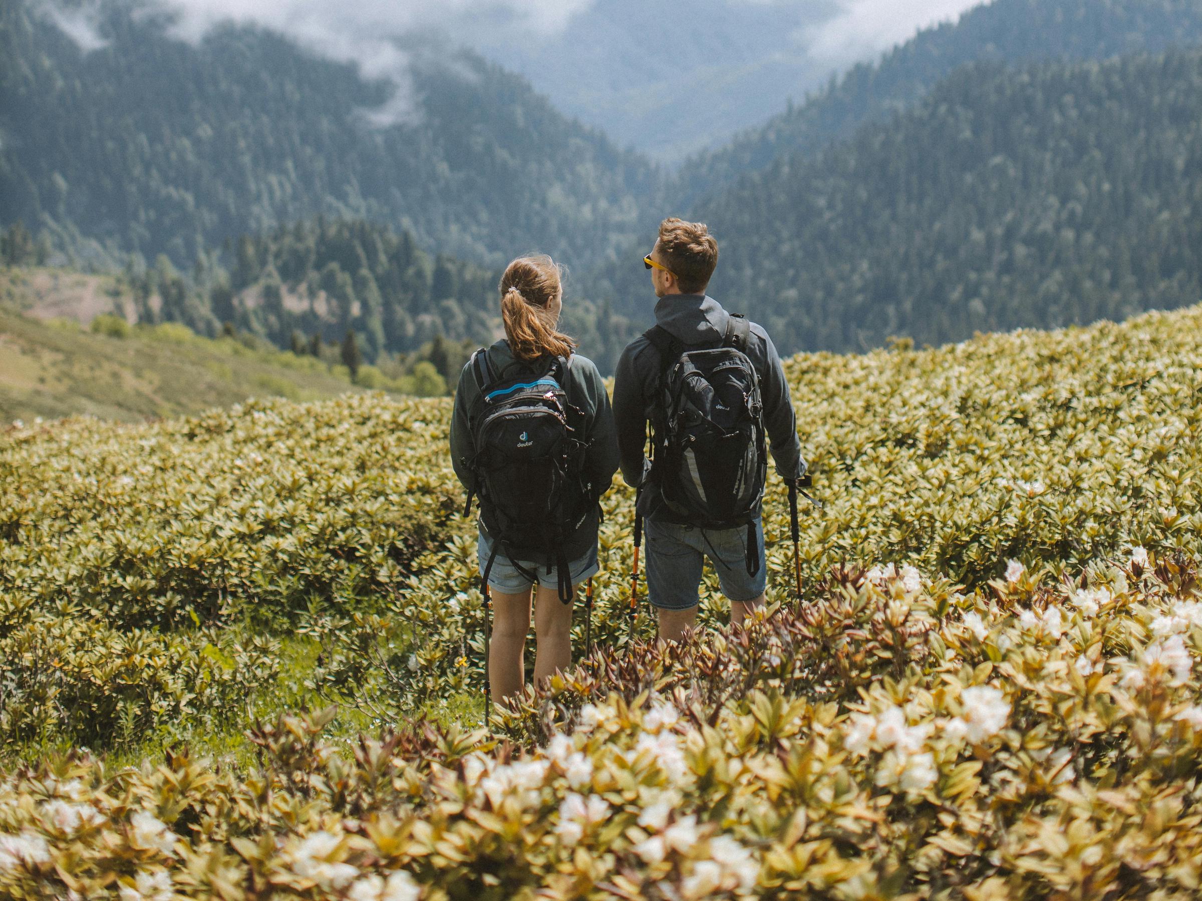 Ein Paar beim gemeinsamen Wandern | Quelle: Pexels