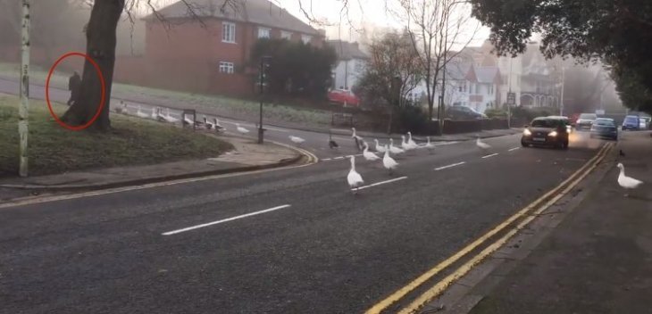 Quelle: Facebook/The Bird Whisperer