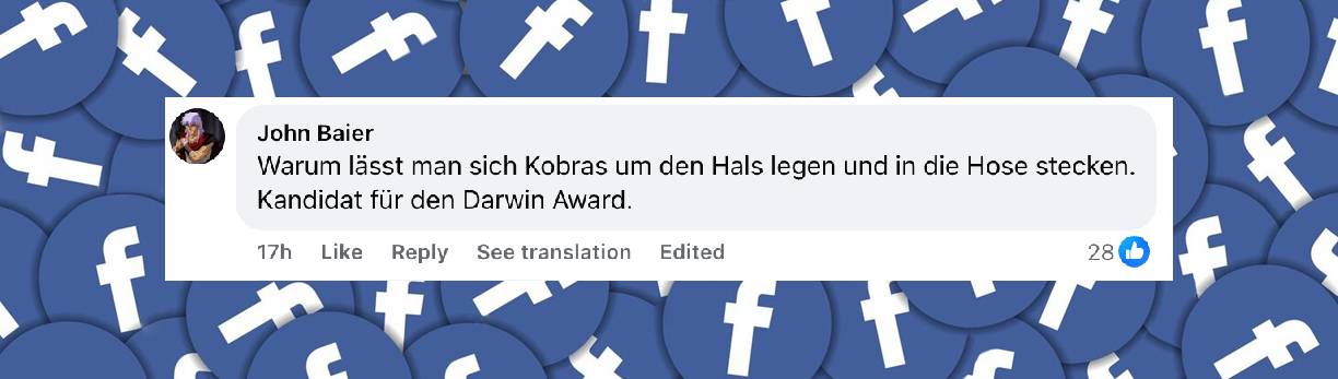 Ein Nutzerkommentar | Quelle: facebook.com/bild