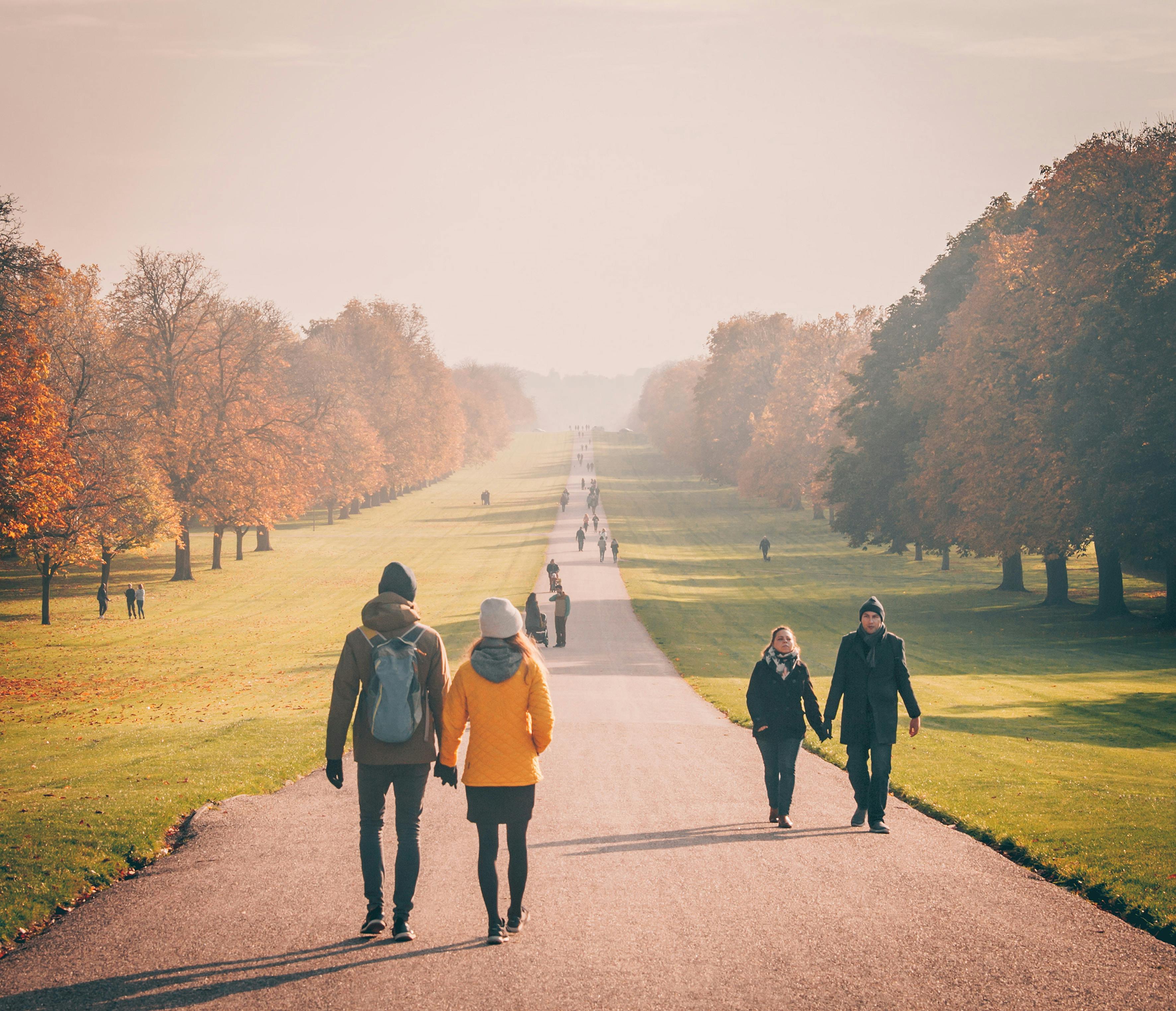 Menschen, die in einem Park spazieren gehen | Quelle: Pexels