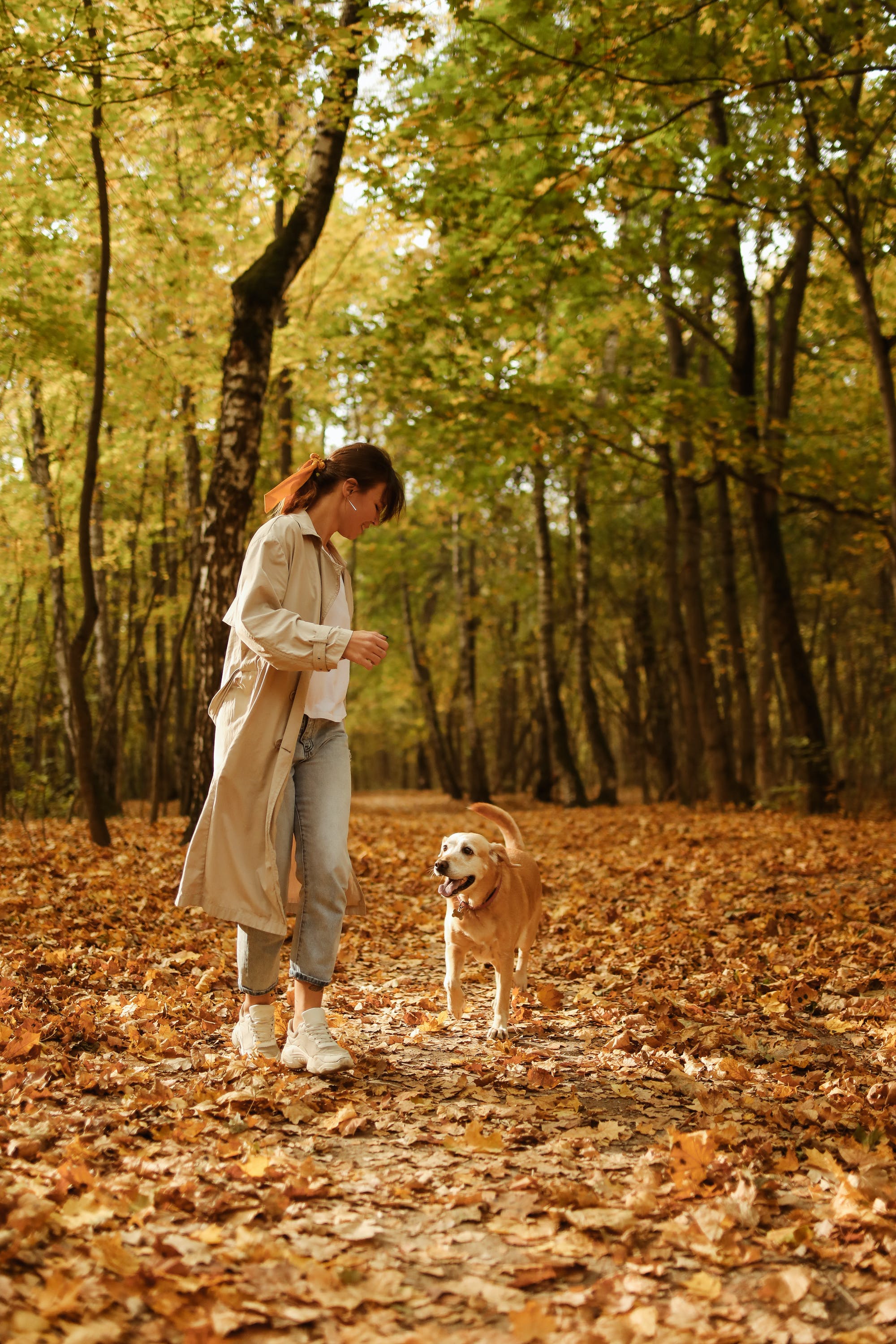 Eine Frau geht mit ihrem Hund im Wald spazieren | Quelle: Pexels