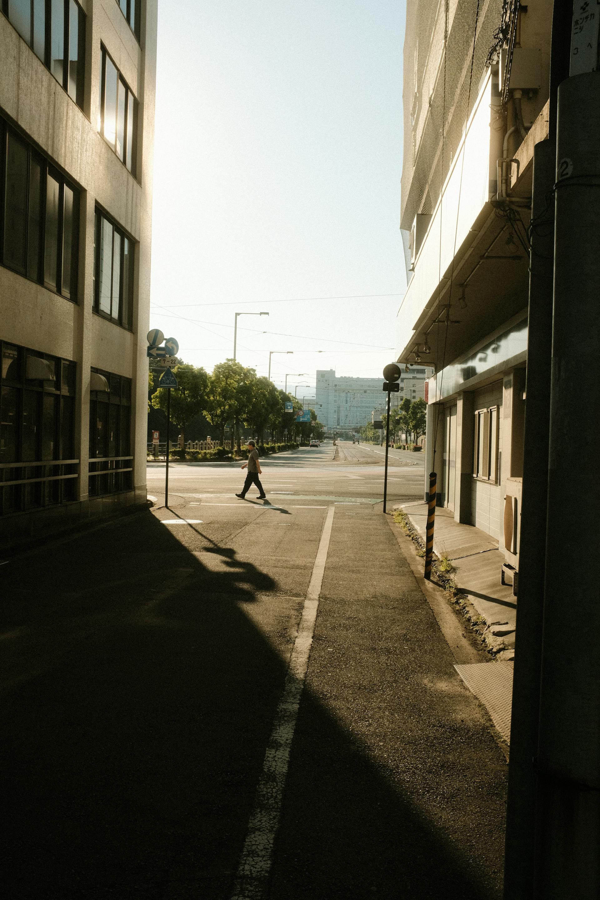 Eine in Sonnenlicht getauchte Straße | Quelle: Pexels