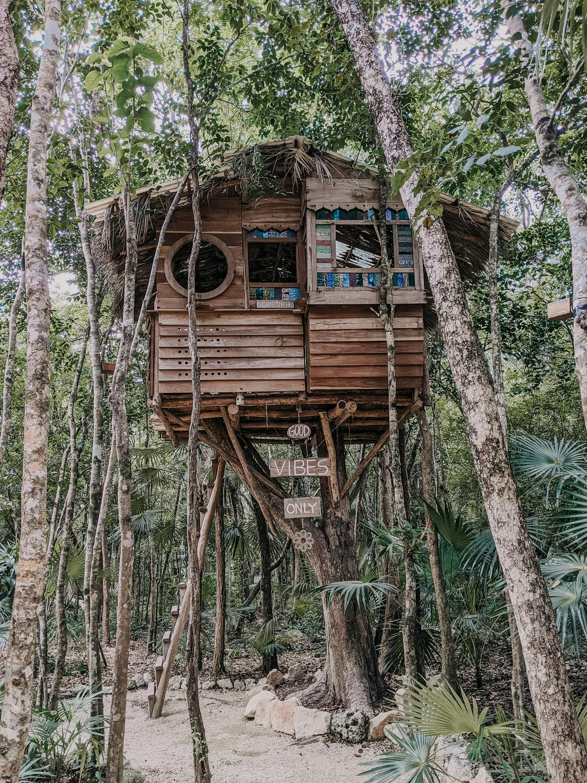 Ein Baumhaus | Quelle: Pexels