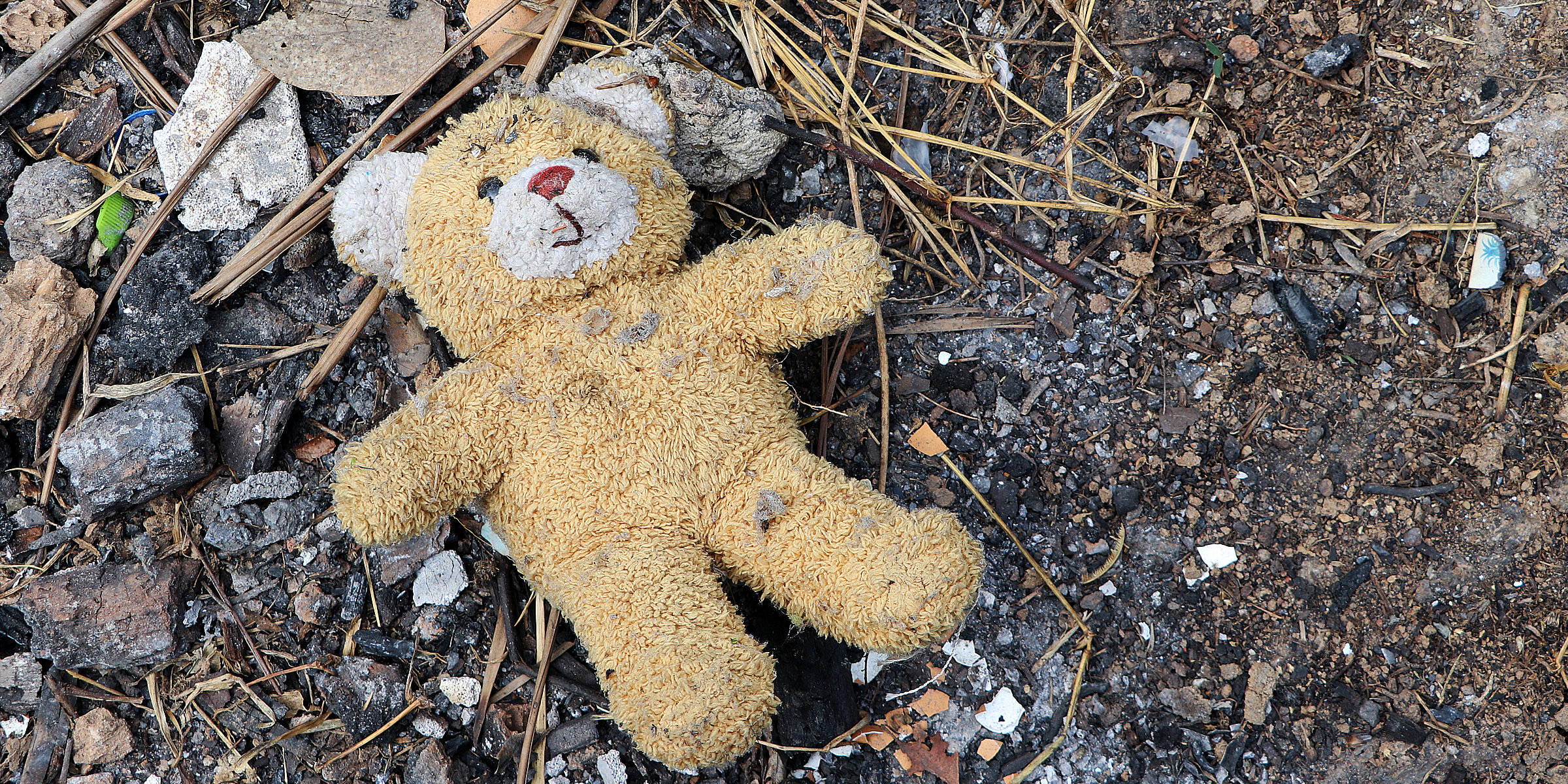 Ein Teddybär, der auf dem Boden liegt | Quelle: Getty Images