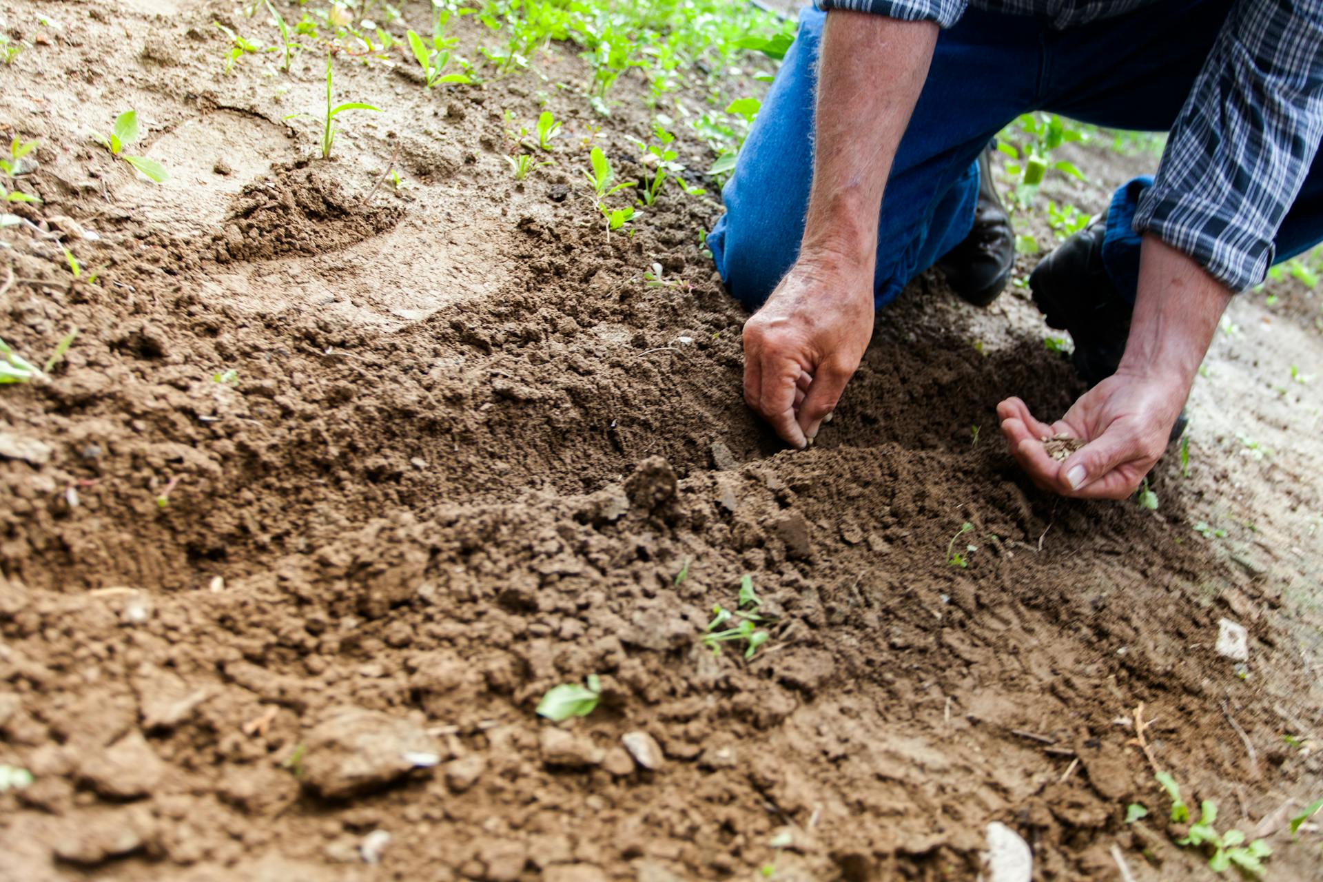 Eine Person arbeitet in ihrem Garten | Quelle: Pexels