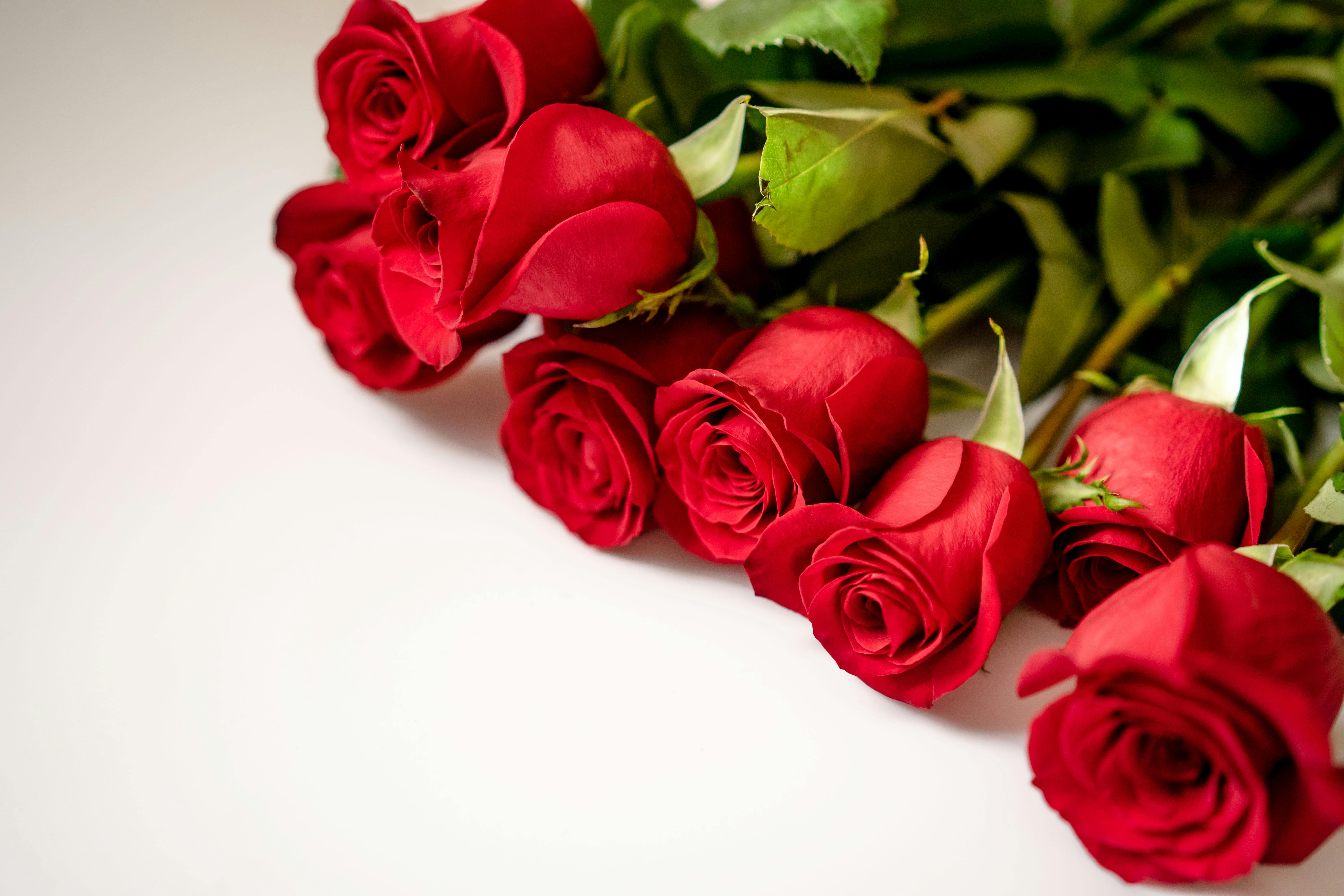 Ein Blumenstrauß aus Rosen | Quelle: Pexels