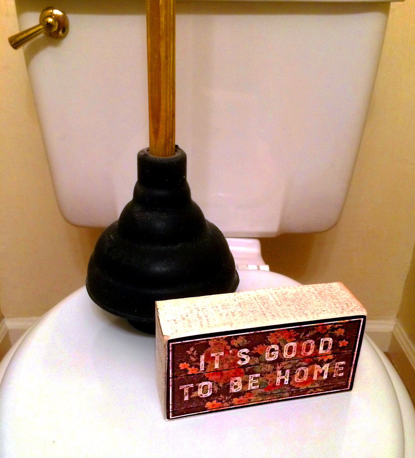 Ein Toilettenstampfer auf einem Toilettensitz | Quelle: Flickr