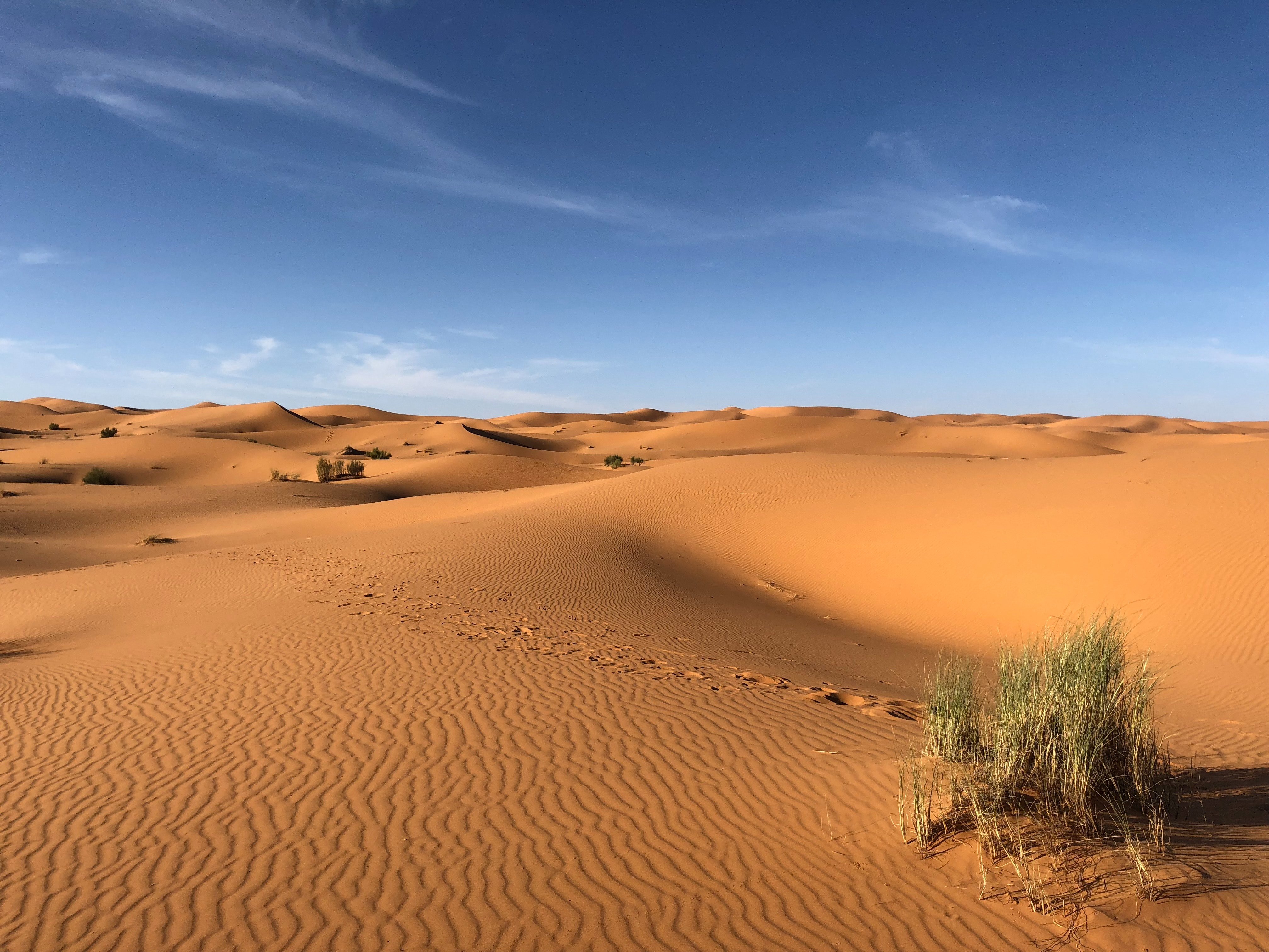 Foto einer ausgedehnten Wüste. | Quelle: Pexels