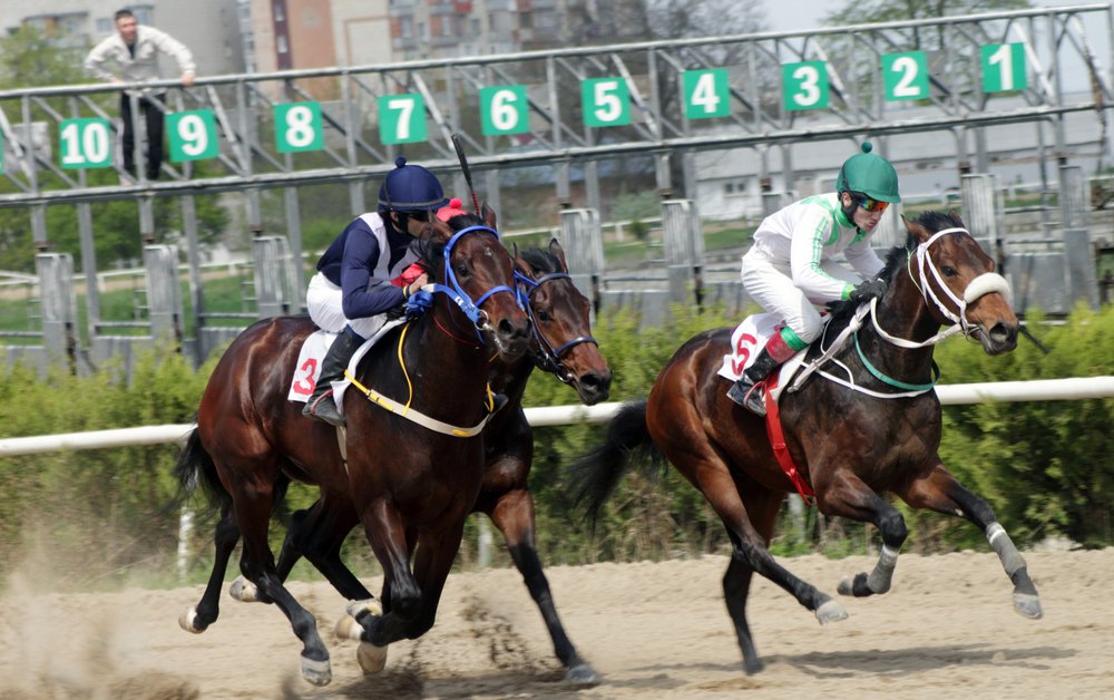 Tore für Pferderennen für den Preis des Frühlings im Kaukasus, Russland. | Quelle: Shutterstock