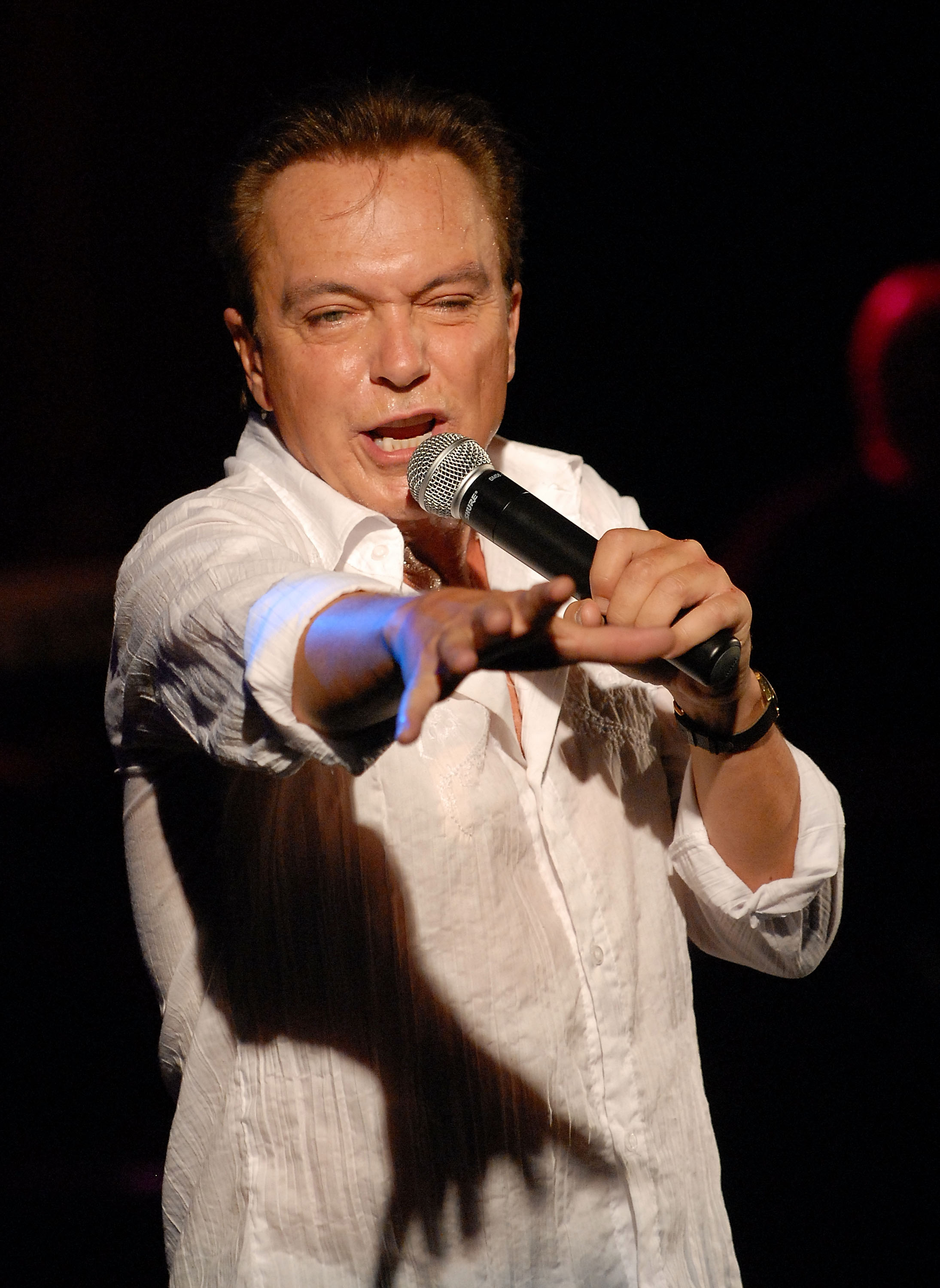 David Cassidy tritt auf dem "The Ultimate Idols"-Konzert am 13. September 2008 in Staten Island, New York, auf. | Quelle: Getty Images