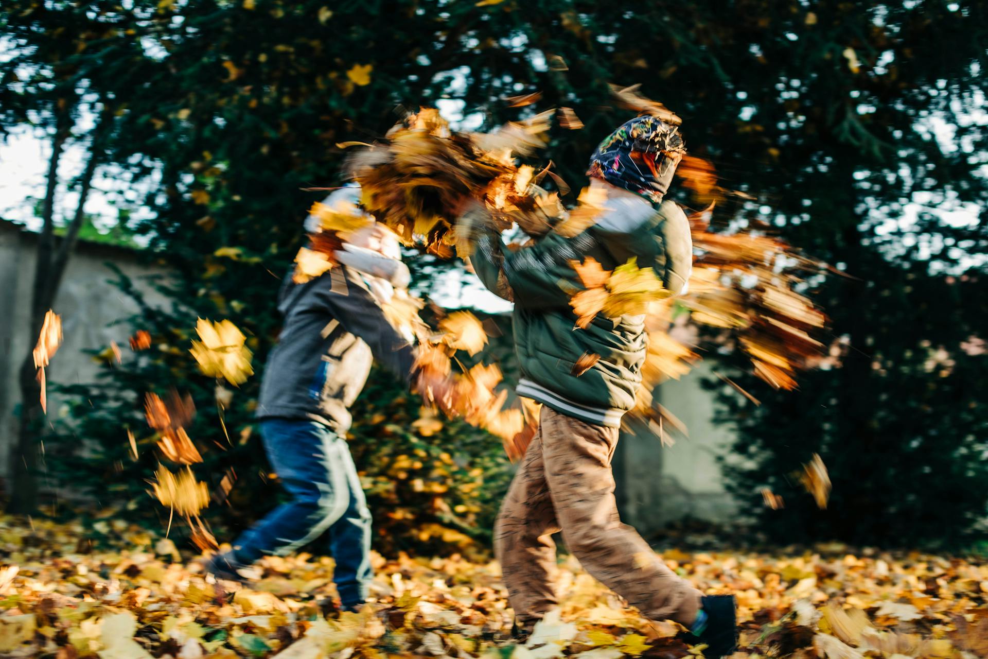 Kinder spielen in einem Park | Quelle: Pexels