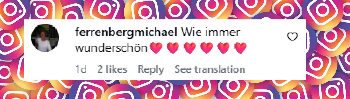 Zwischen Bewunderung und Spott: Die Reaktionen auf Sylvie Meis' Look fallen gespalten aus. | Quelle: Instagram.com/p/DbDbfNrn4I6/?hl=en&img_index=1