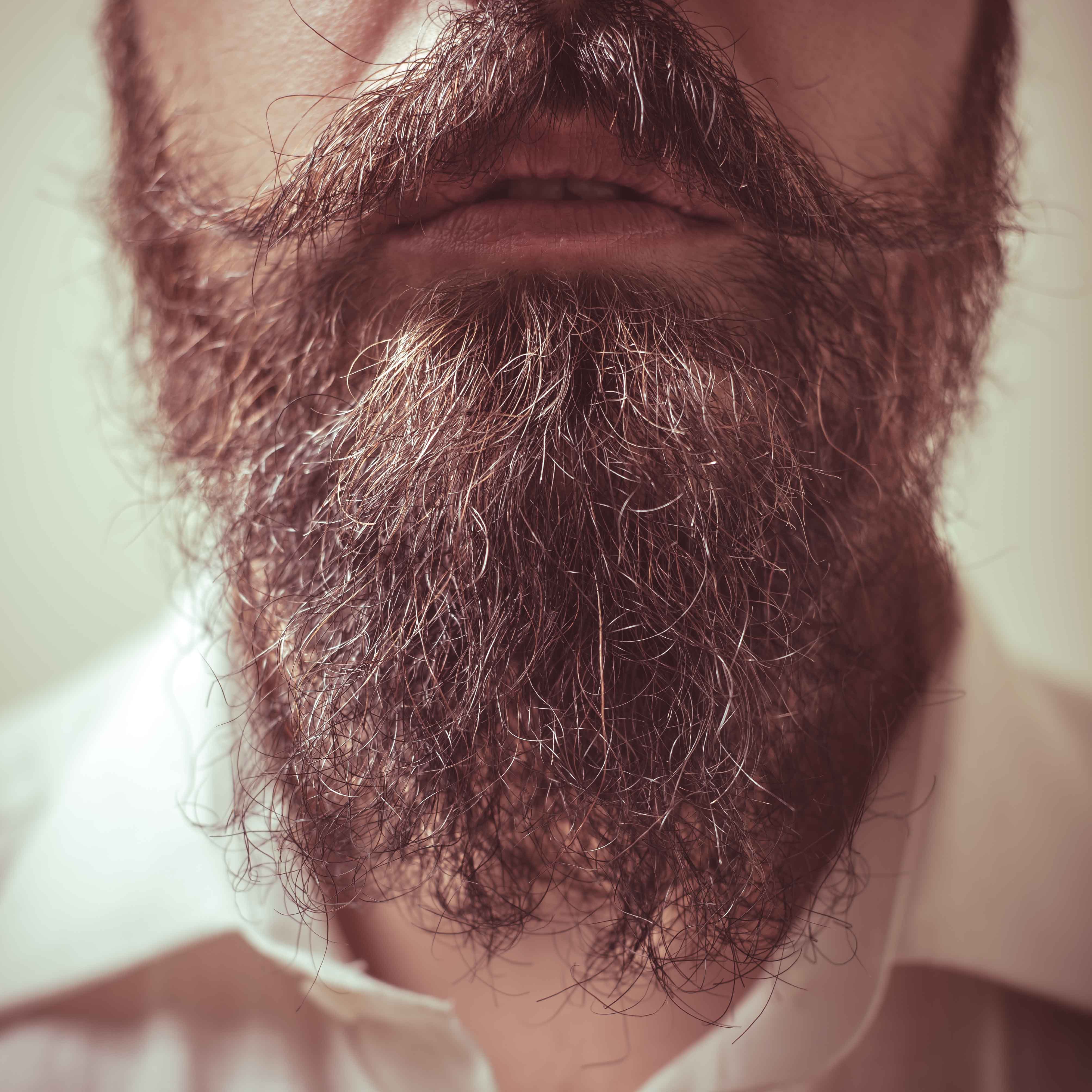 Ein Bart aus der Nähe | Quelle: Shutterstock
