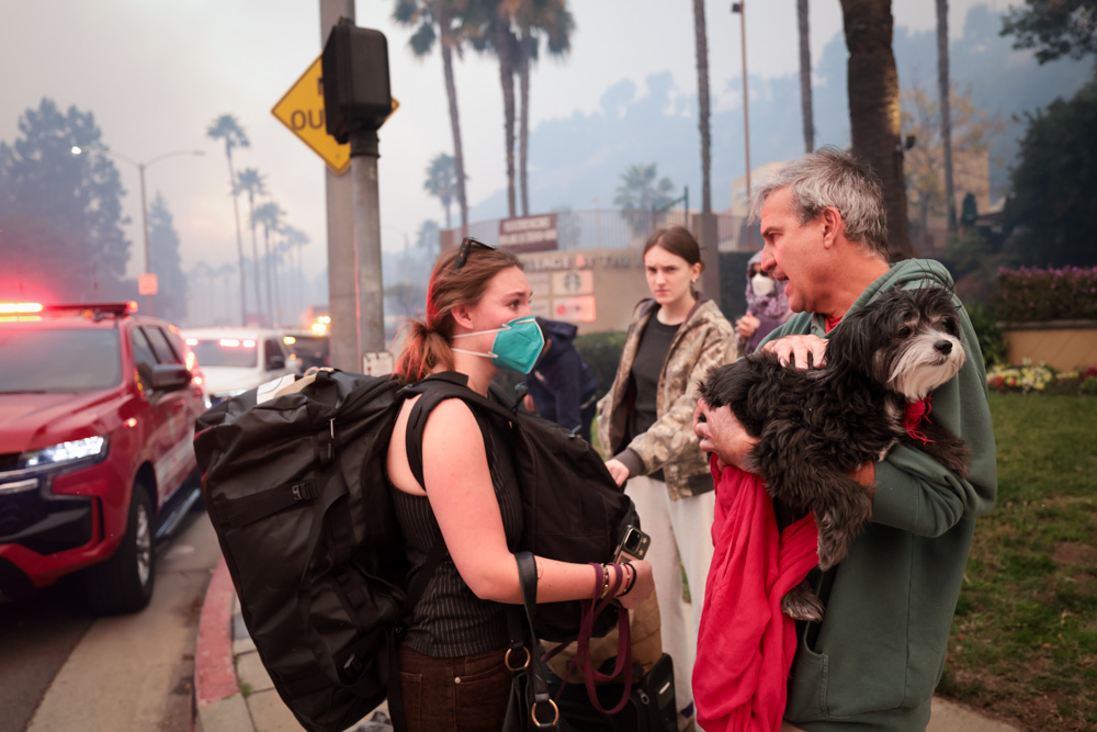 Weitere Menschen werden bei der Evakuierung während des Palisades-Feuers am 7. Januar 2025 fotografiert. | Quelle: Getty Images