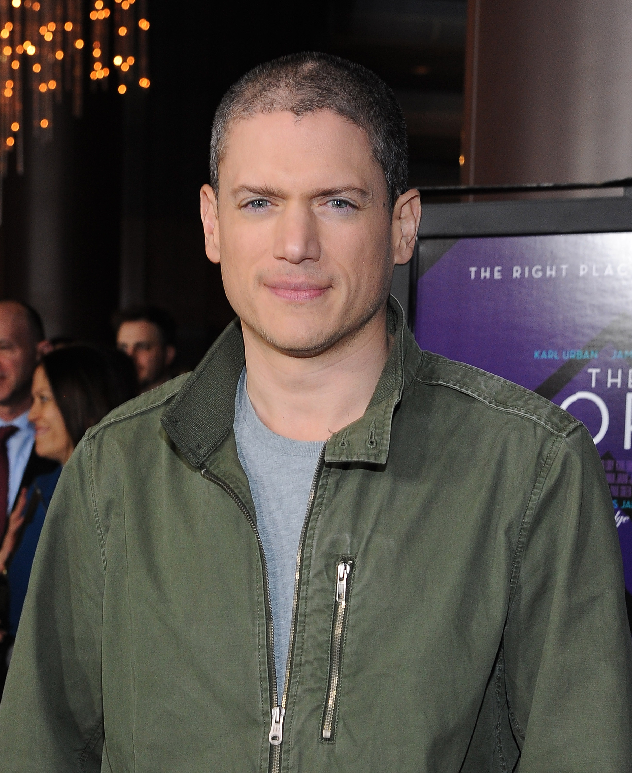 Wentworth Miller besucht die Vorführung von "The Loft" am 27. Januar 2015 in Los Angeles, Kalifornien. | Quelle: Getty Images