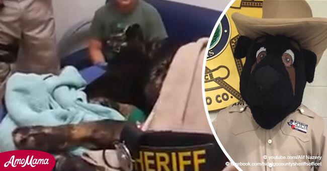 Bei einem Polizeihund wurde Knochenkrebs festgestellt und sein Dienstpartner organisierte einen tränenreichen Abschied für ihn