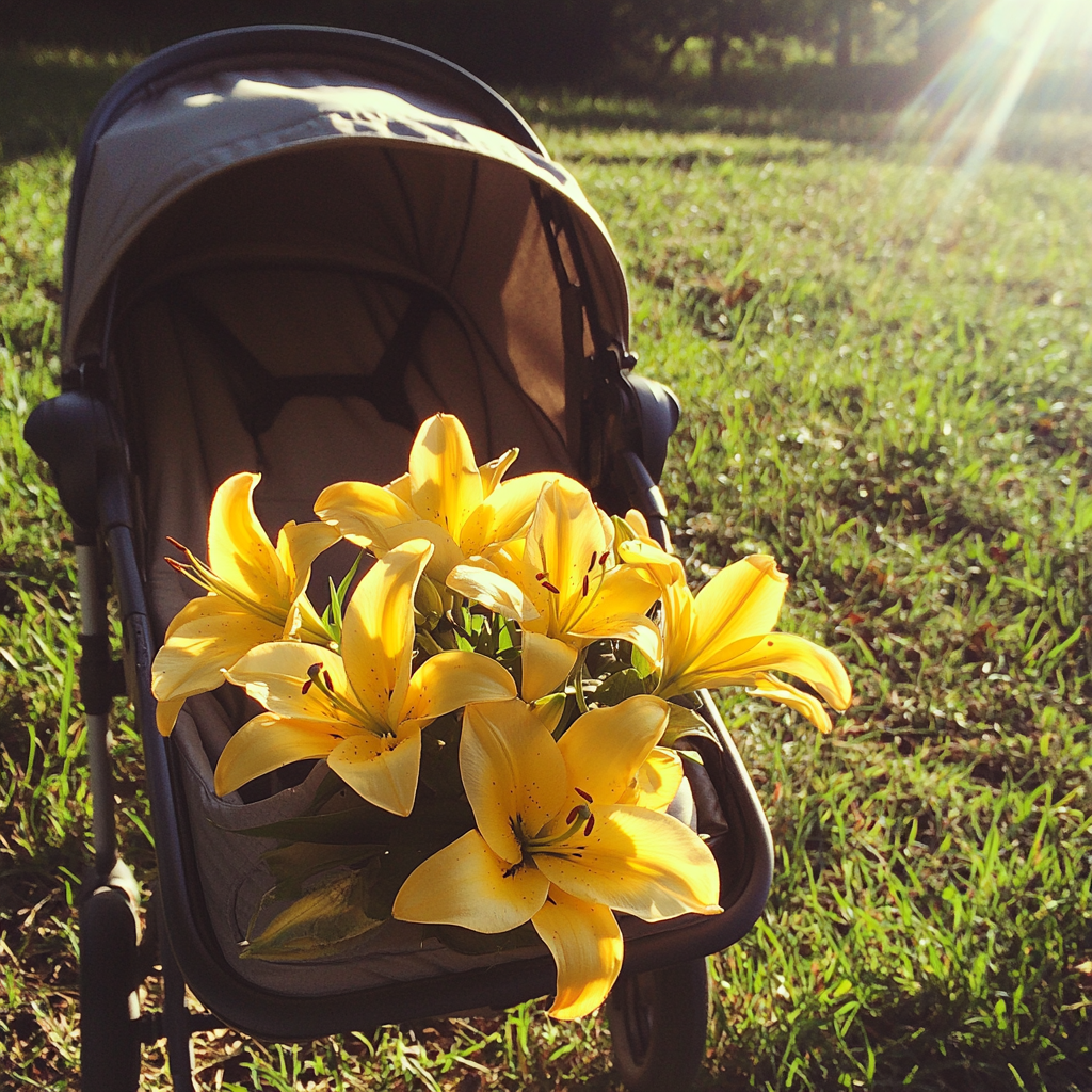 Ein Kinderwagen mit gelben Lilien | Quelle: Midjourney