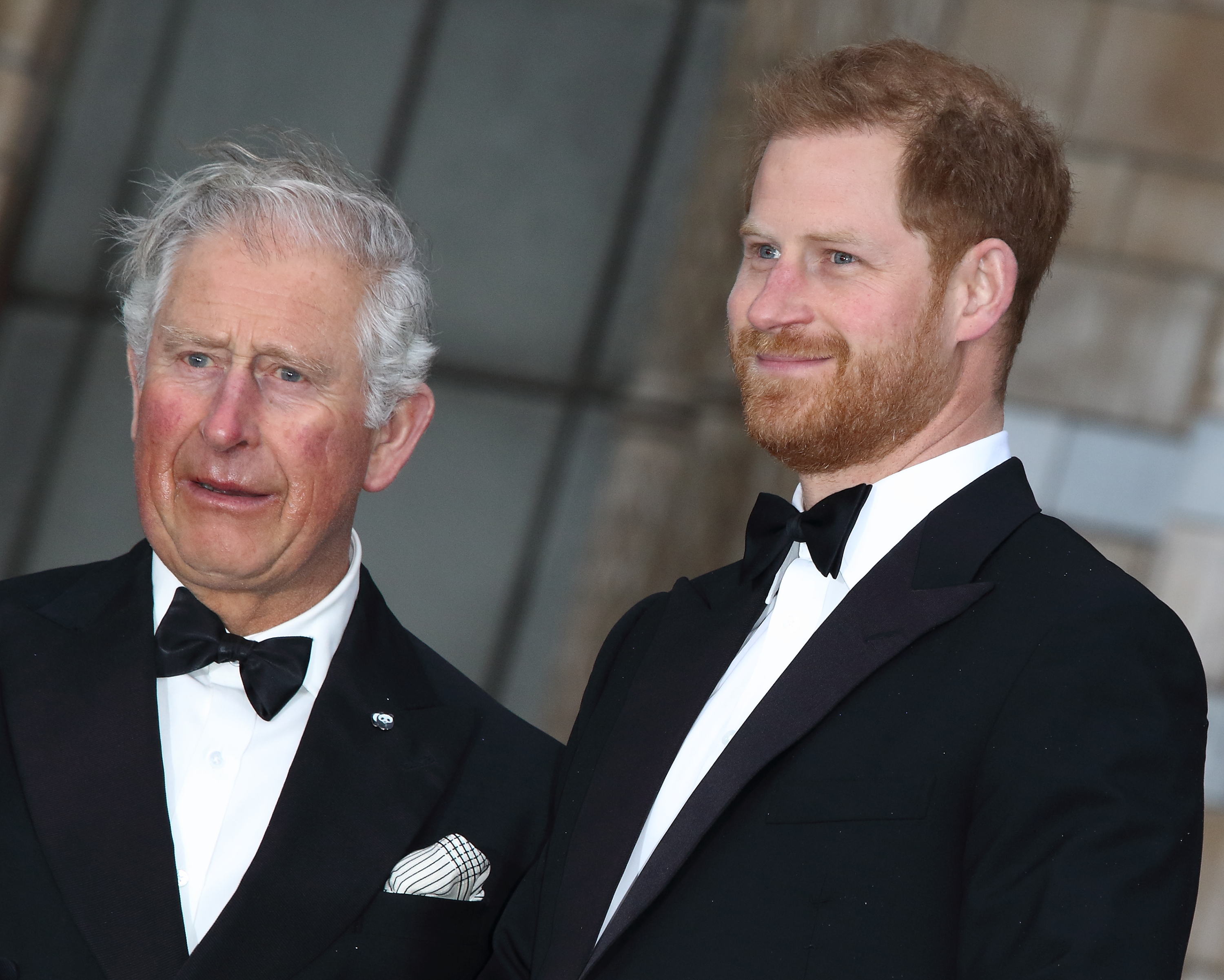 König Charles III. und Prinz Harry bei der Weltpremiere von Netflix' „Our Planet“ im Natural History Museum in Kensington, England, am 4. April 2019. | Quelle: Getty Images