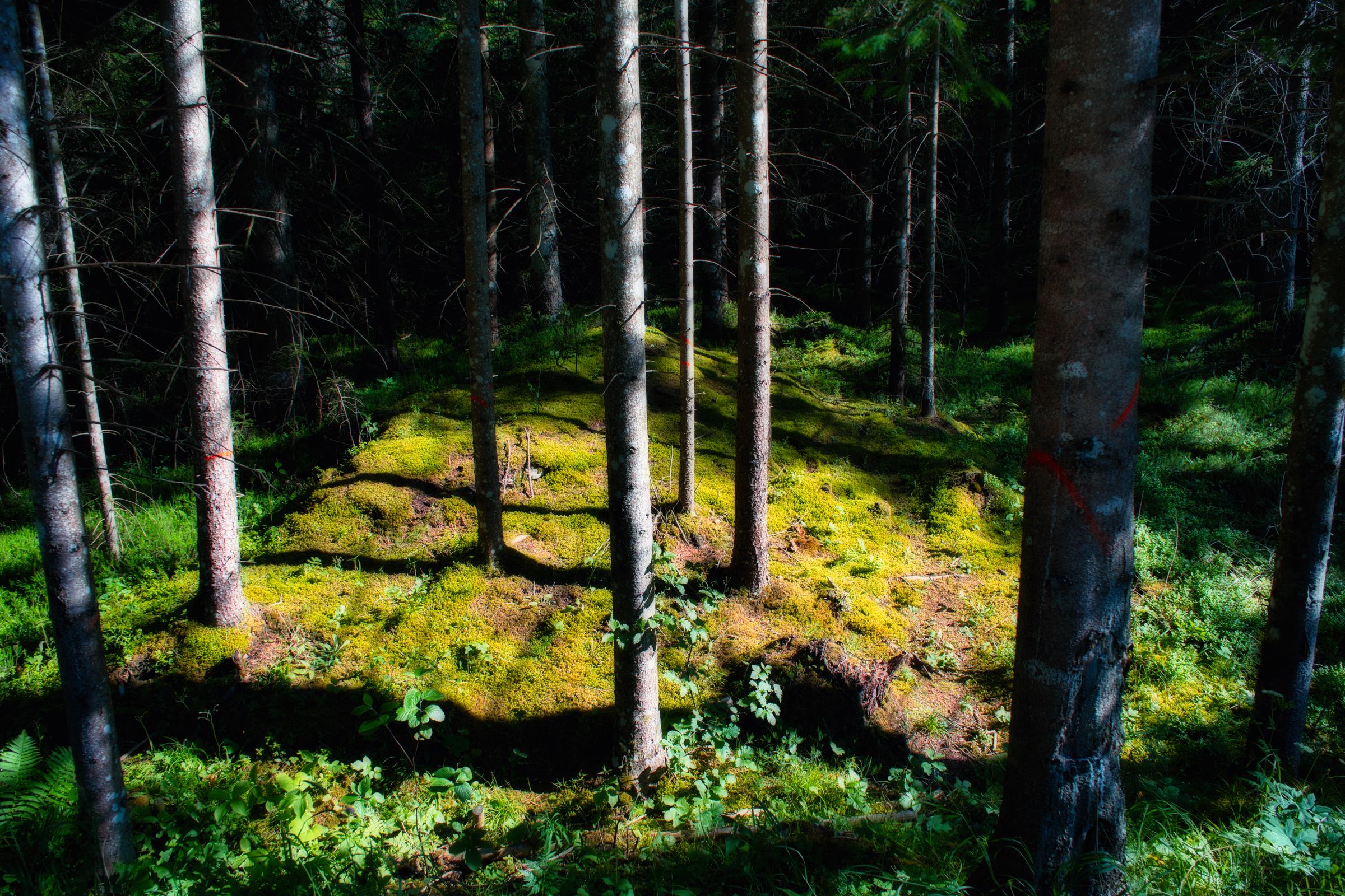 Symbolbild | Quelle: Getty Images