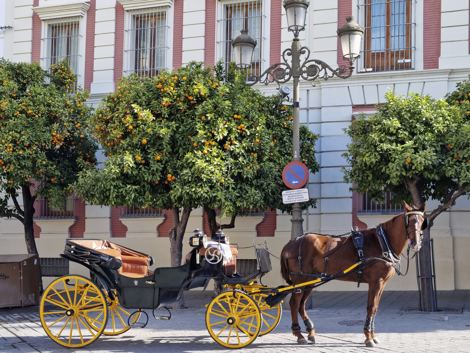 Pferdekutsche in der Innenstadt von Sevilla, Andalusien, Spanien | Quelle: Getty Images