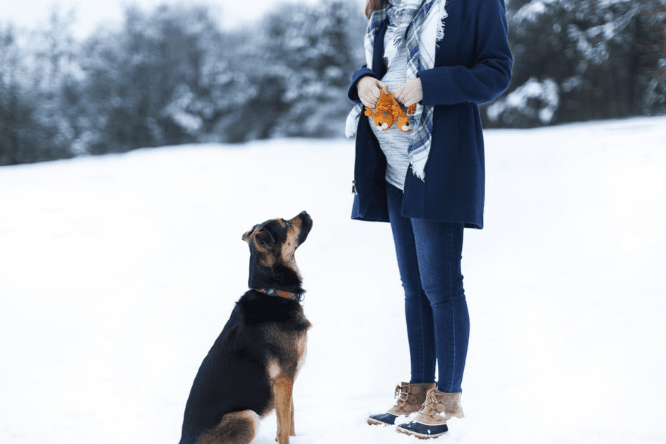 Zu Fritz’ Glück fand Dilara ihn, als sie mit ihrem Hund spazieren war. | Quelle: Unsplash