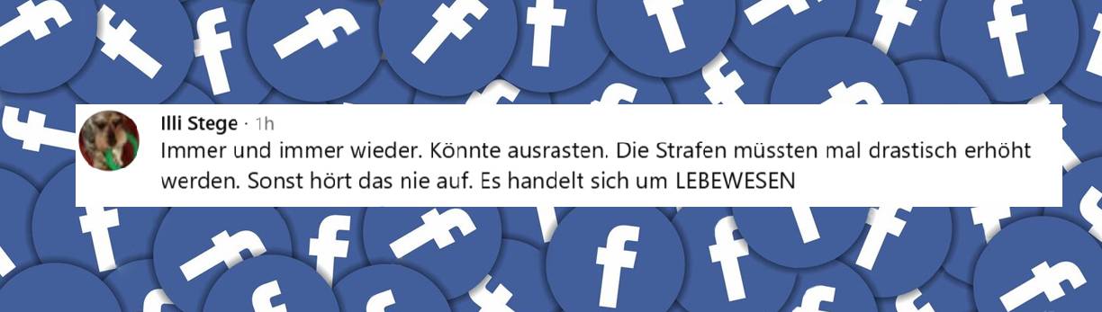 Leser kommentieren die Nachrichten | Quelle: facebook.com//bild/posts/pfbid0RvfRwkjC8DPSVkwE2Kj6KRWPeR2sJzMV1y255451nhXCyV8K8baGkRq4qVcaW5rkl?rdid=HuiwLvXcBtOr1Nzo#