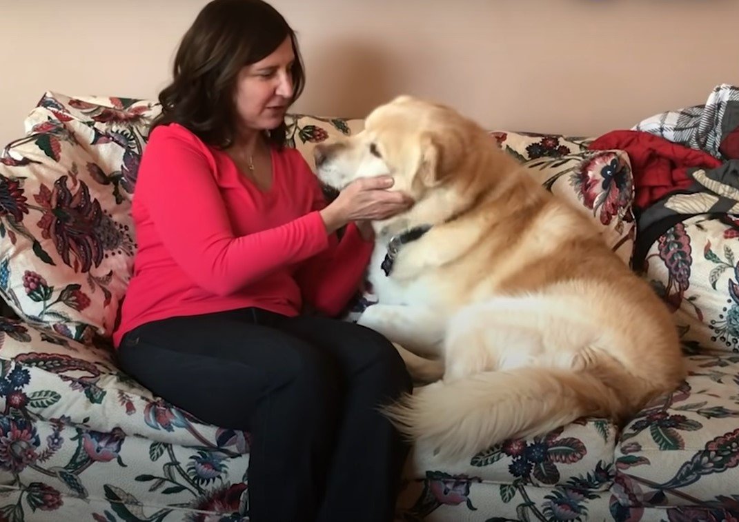  Kai mit seiner Pflegemutter Pam Heggie, die ihn schließlich adoptierte | Quelle: Youtube.com/The Dodo