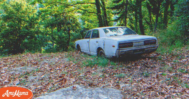 Jonas schlief in einem verlassenen Auto, um die Nacht mitten im Wald zu überstehen. | Quelle: Pexels