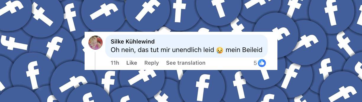 Nutzer-Kommentar | Quelle: Facebook/Punkt 12