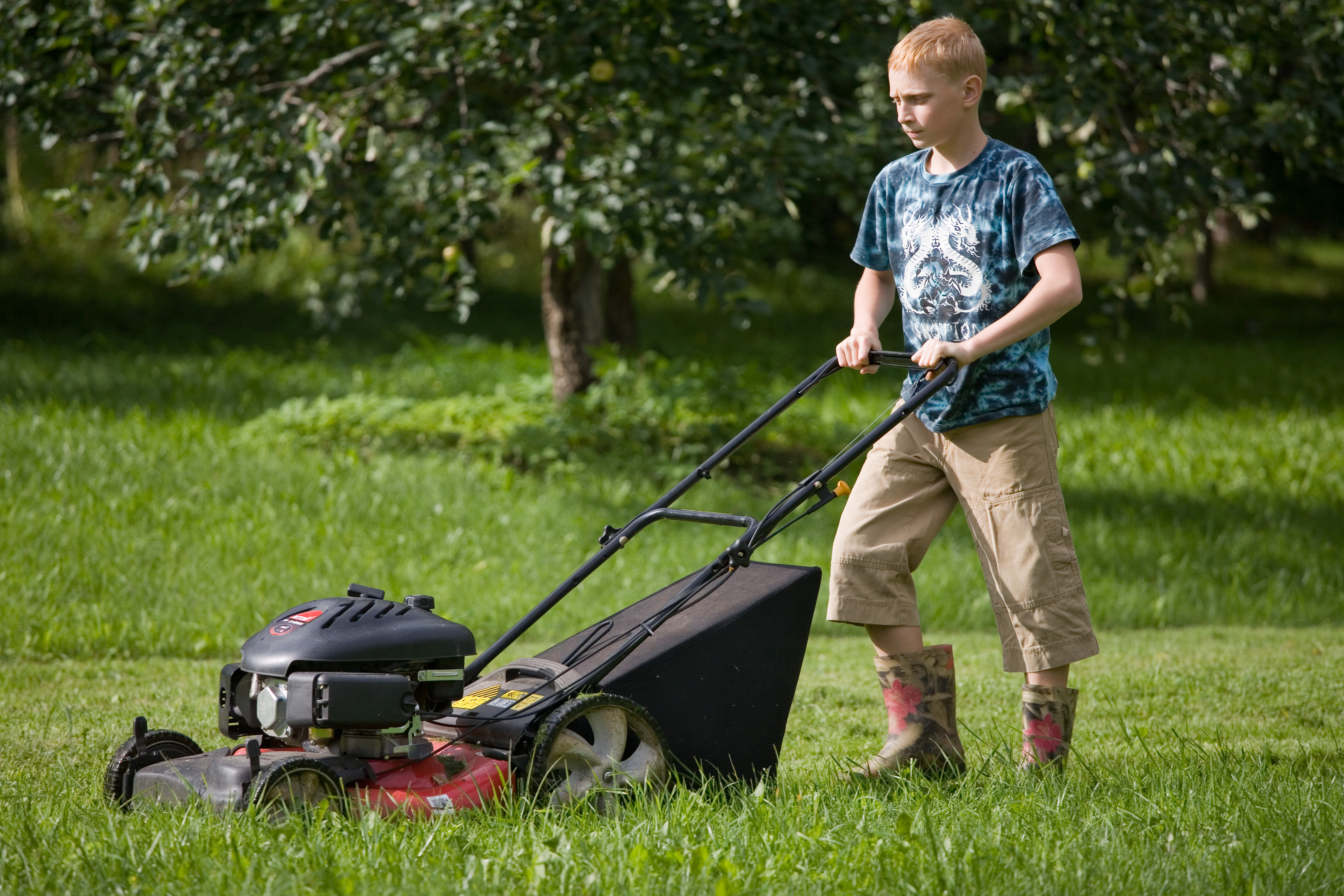 Ein Junge mäht einen Rasen | Quelle: Shutterstock