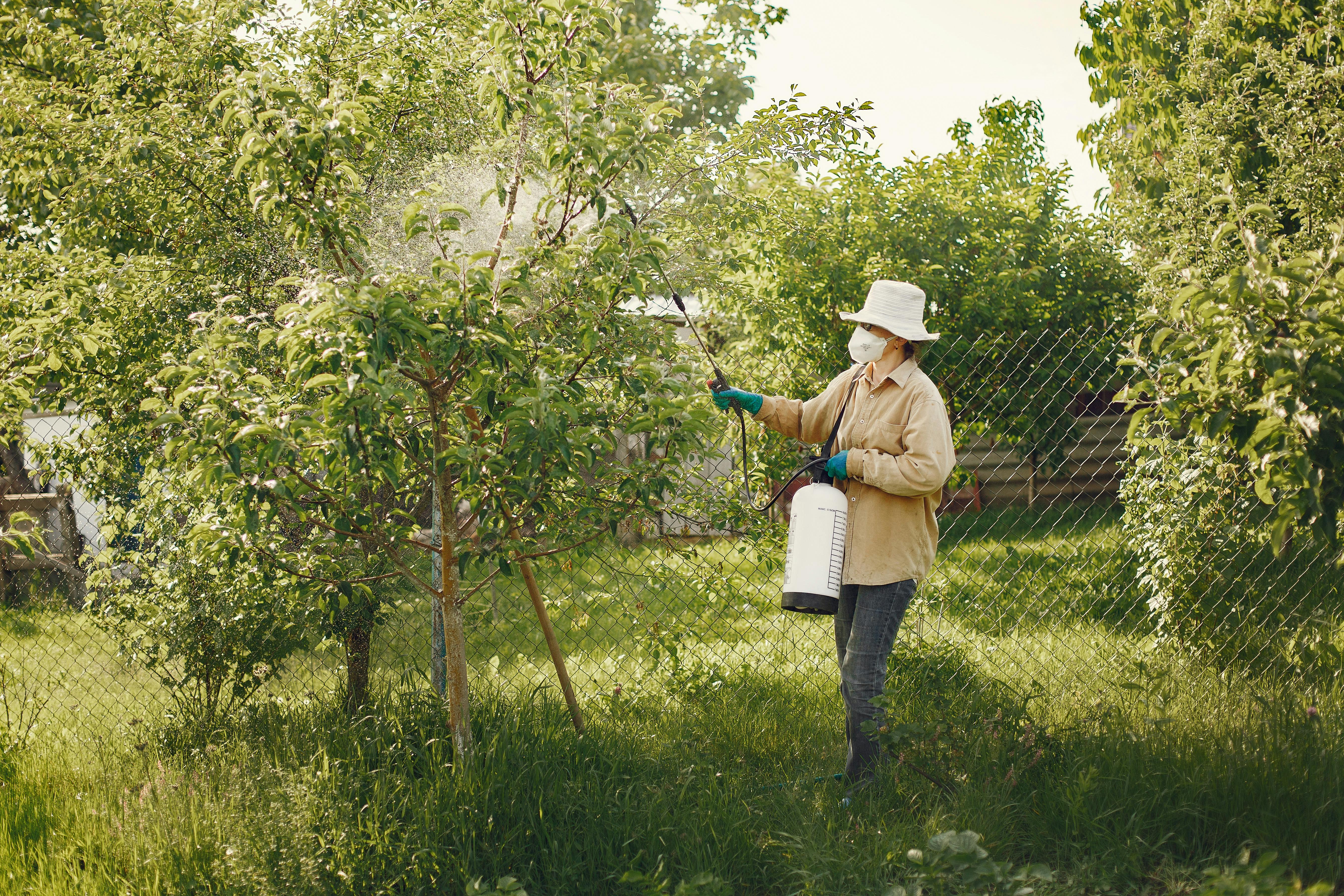 Eine Frau besprüht einen Baum in einem Garten mit Pestiziden | Quelle: Pexels