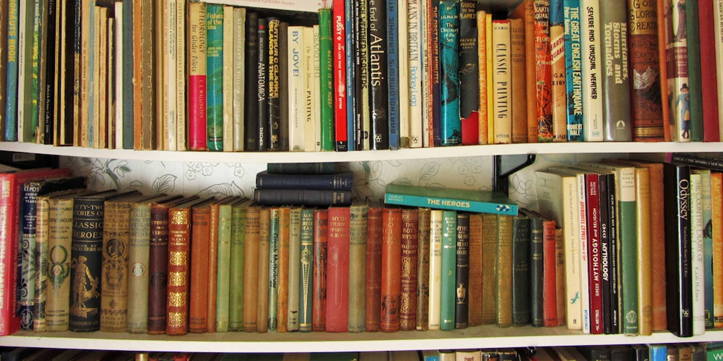 Bücher in einem Bücherregal | Quelle: Flickr