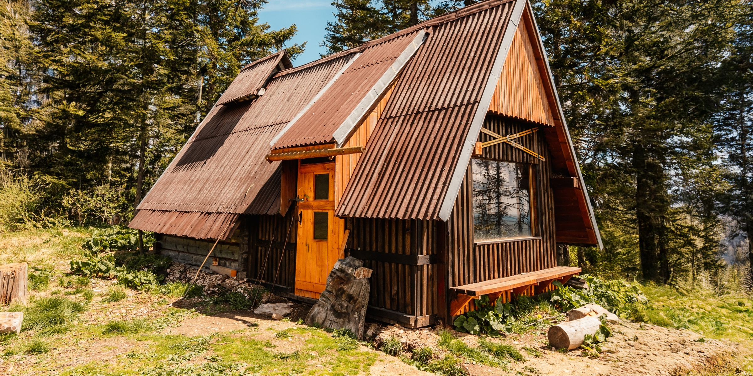 Eine rustikale Hütte auf einer Waldlichtung, umgeben von hohen Kiefern und sanftem Nachmittagslicht | Quelle: Shutterstock