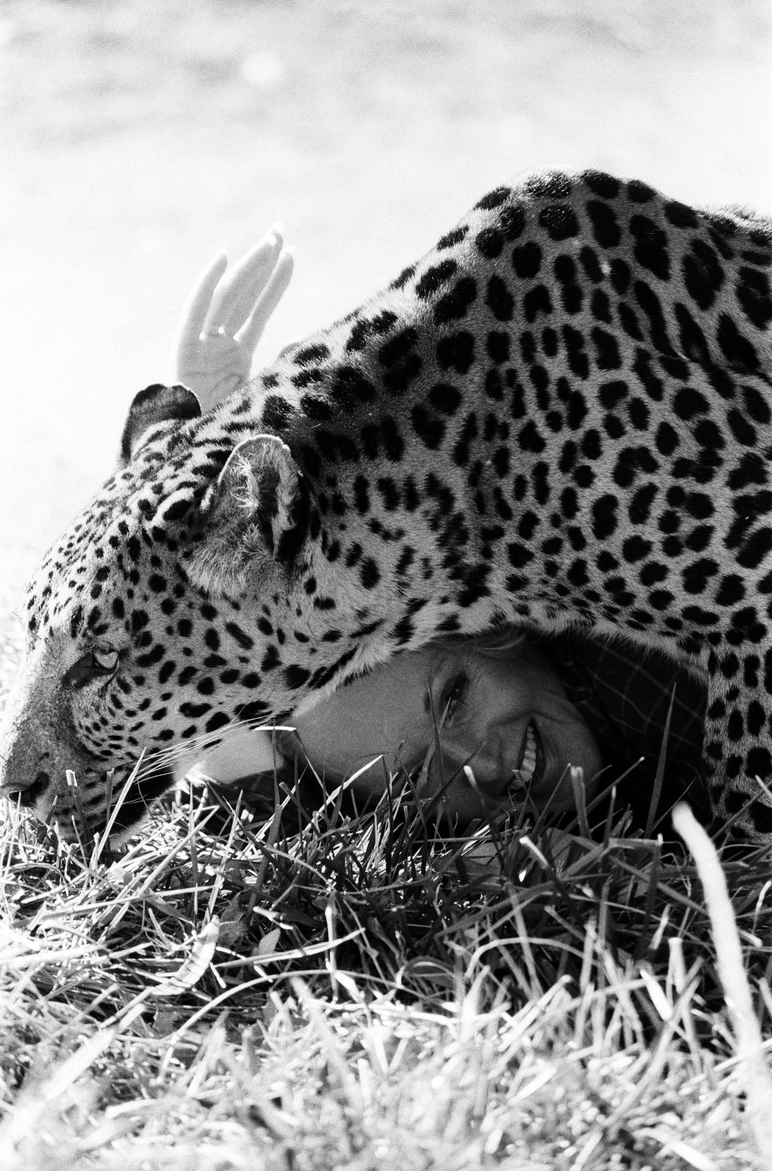 Tippi Hedren mit ihren Tieren auf ihrem Grundstück im San Fernando Valley am 25. Januar 1982. | Quelle: Getty Images