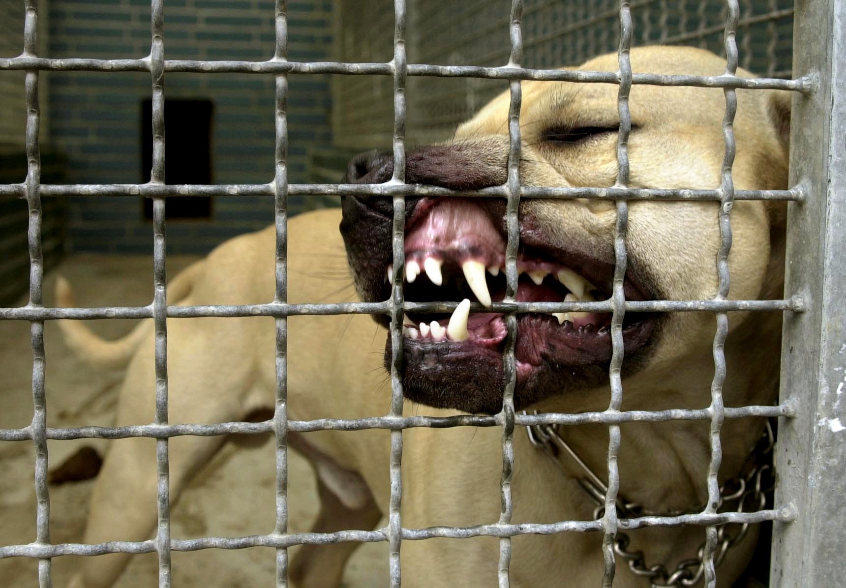 Symbolbild | Quelle: Getty Images